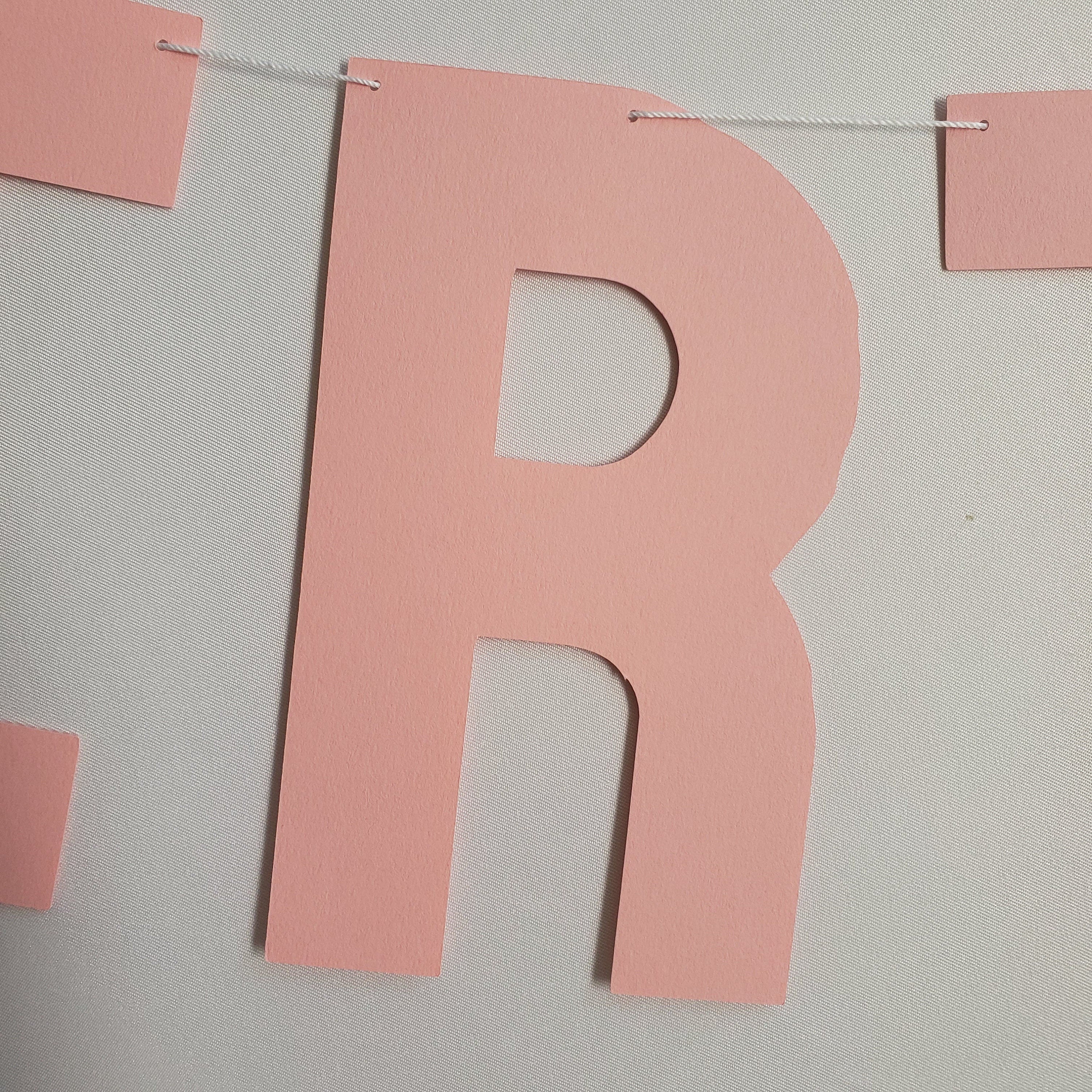 Light Pink Happy Birthday Banner, Light Pink Birthday Banner, Baby Pink Banner, Custom Light Pink Banner, Light Pink Party Decorations