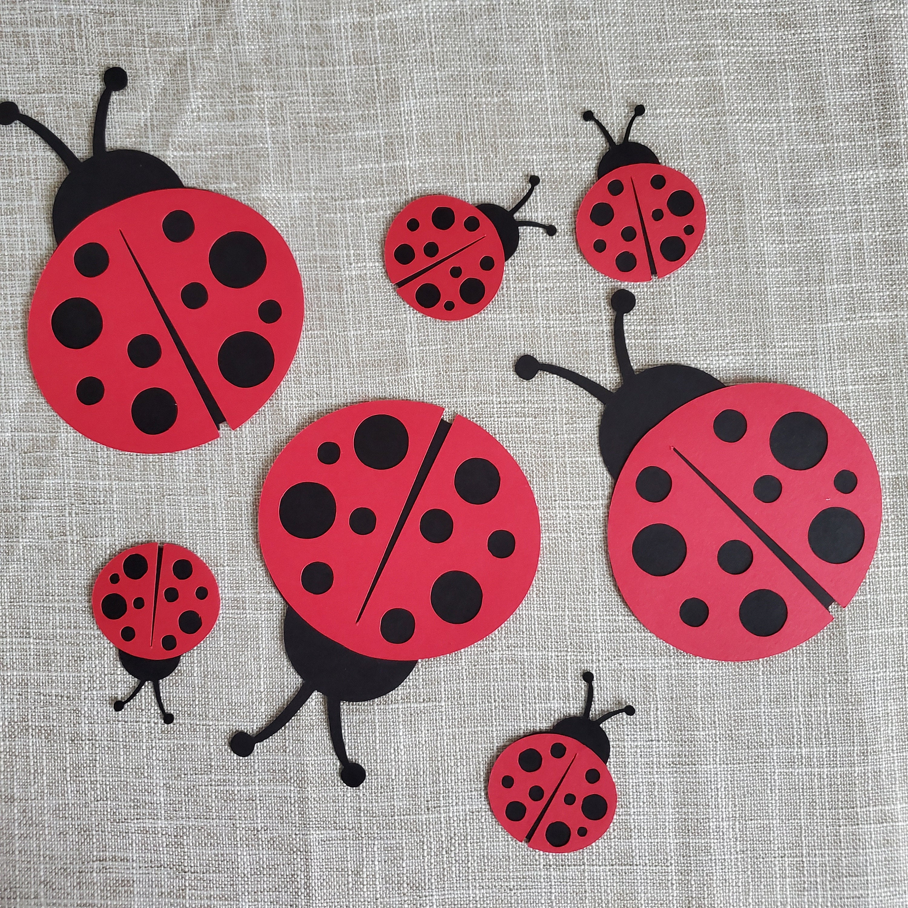 Ladybug Birthday Banner, Ladybug Decorations, Name Is Age, Name Is Two Banner, 2nd Birthday Decoration Ideas