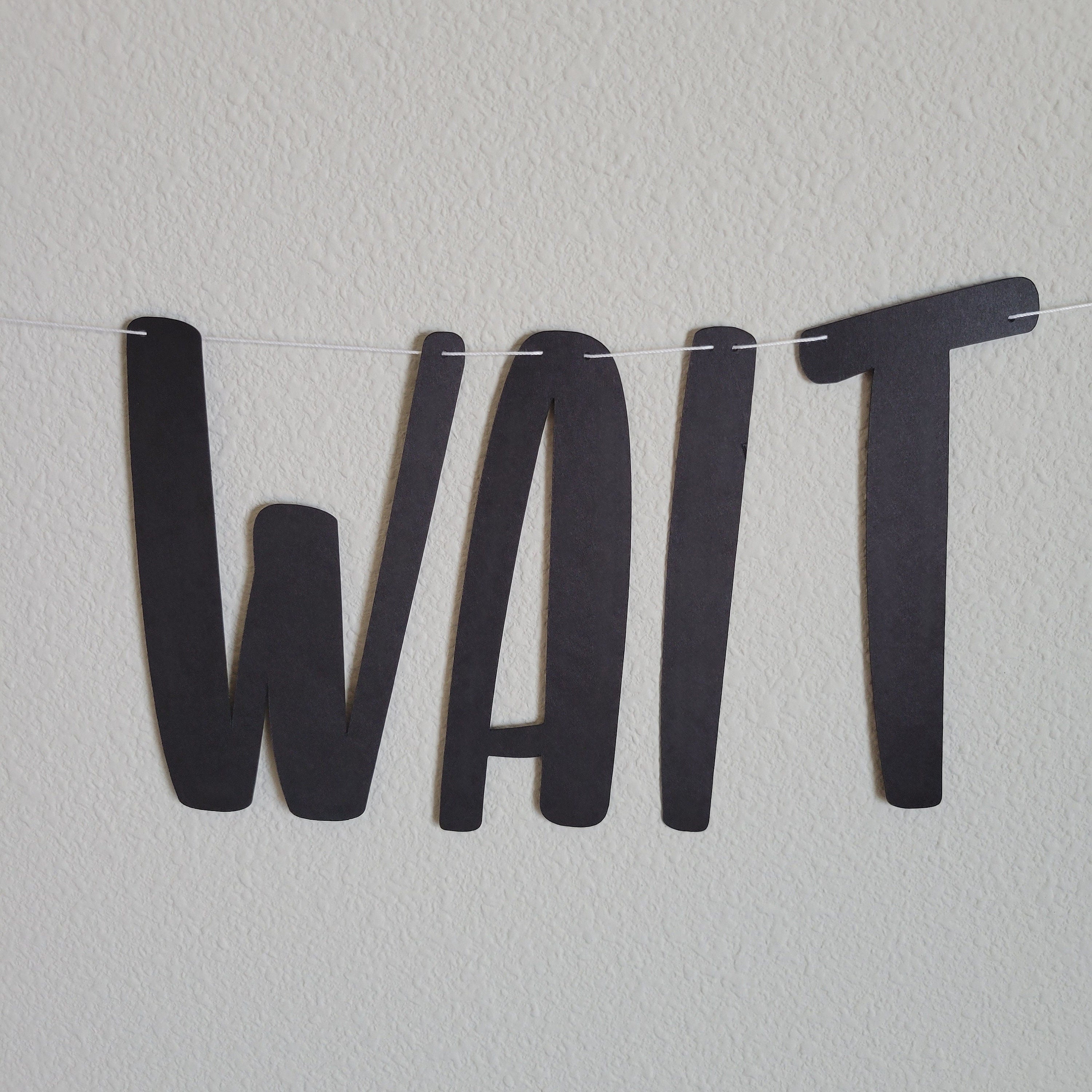 We Can Bearly Wait, We Can Bearly Wait Banner, Bear Baby Shower, Bear Themed Baby Shower Decorations, Bear Garland, Bear Decorations