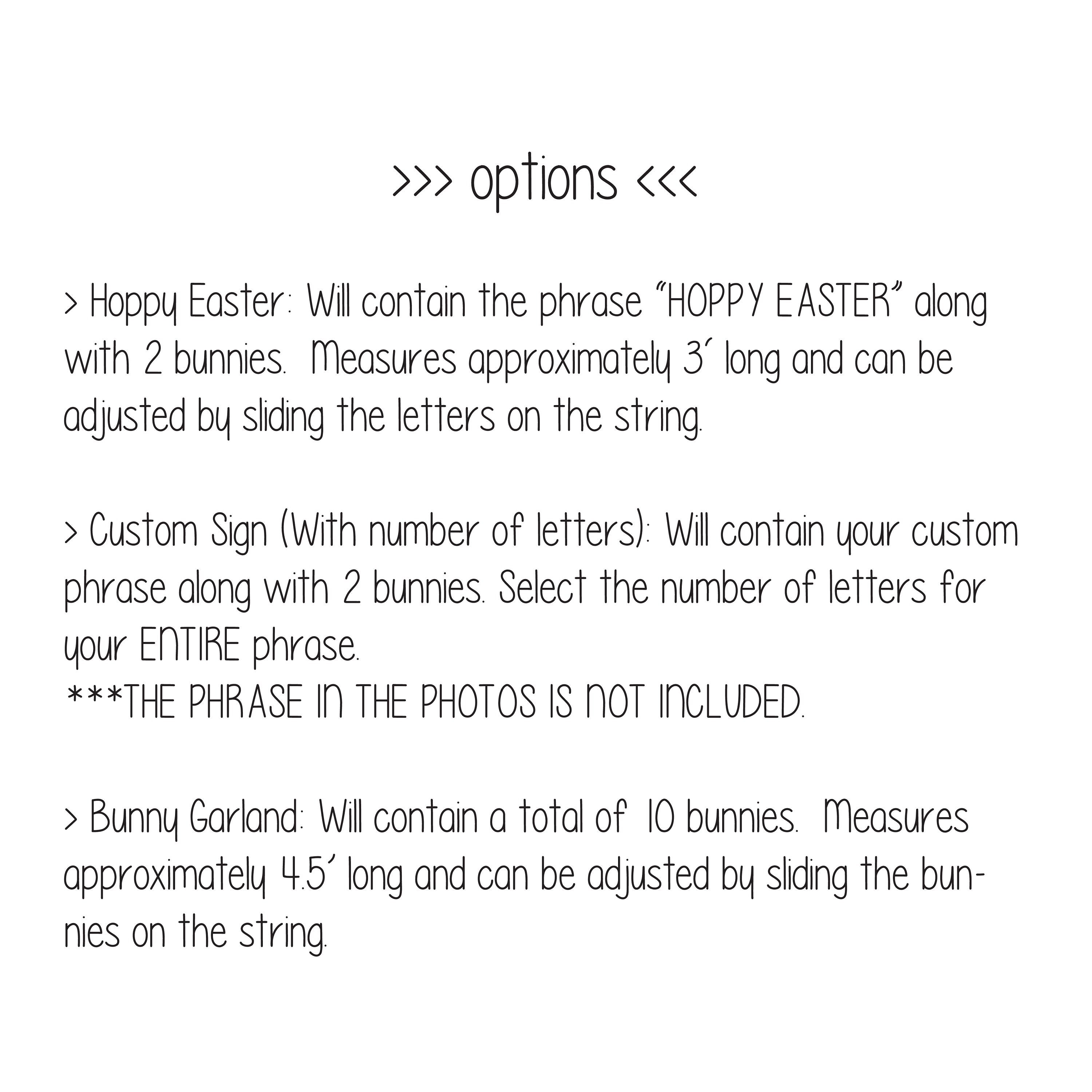 Hoppy Easter Banner, Easter Banner, Easter Decorations, Custom Easter Banner, Easter Bunny Garland, Bunny Banner