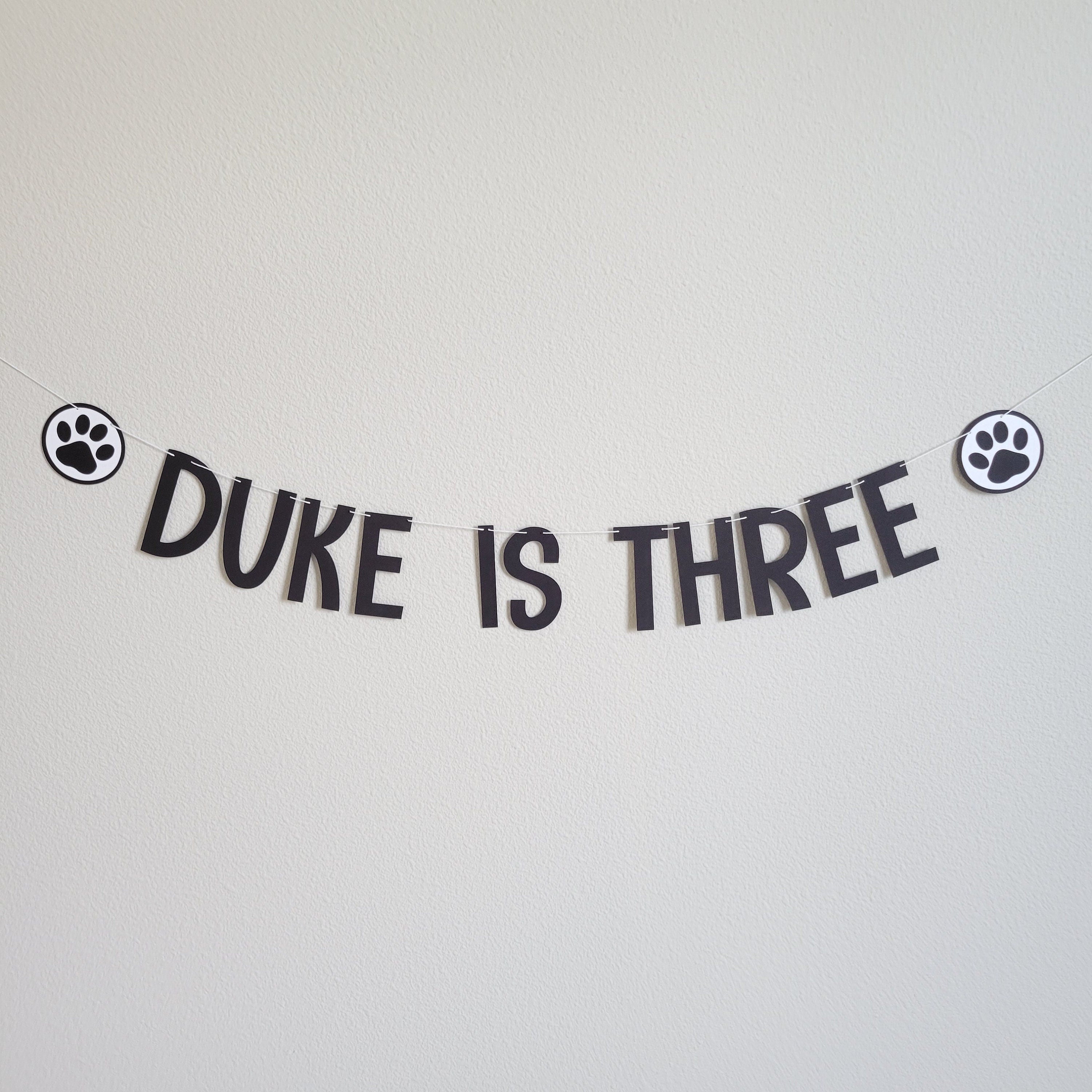 Paw Print Banner, Paw Print Garland, Dog Birthday Party, Cat Birthday Party, Custom Paw Print Banner, Paw Decorations
