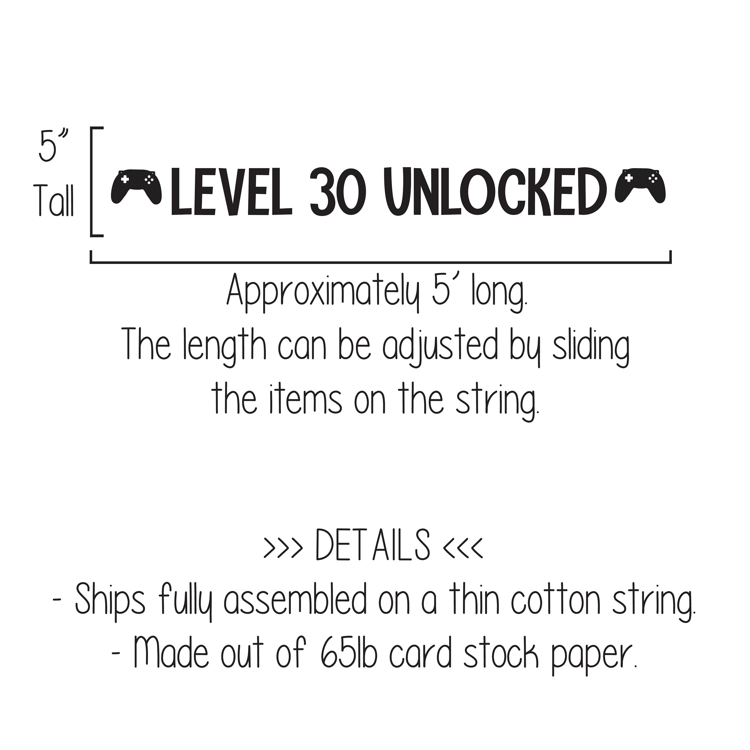 Custom Gaming Banner, Gamer Birthday, Gaming Birthday Banner, 30th Birthday, Video Game Party, Level 20 Unlocked, Controller Banner