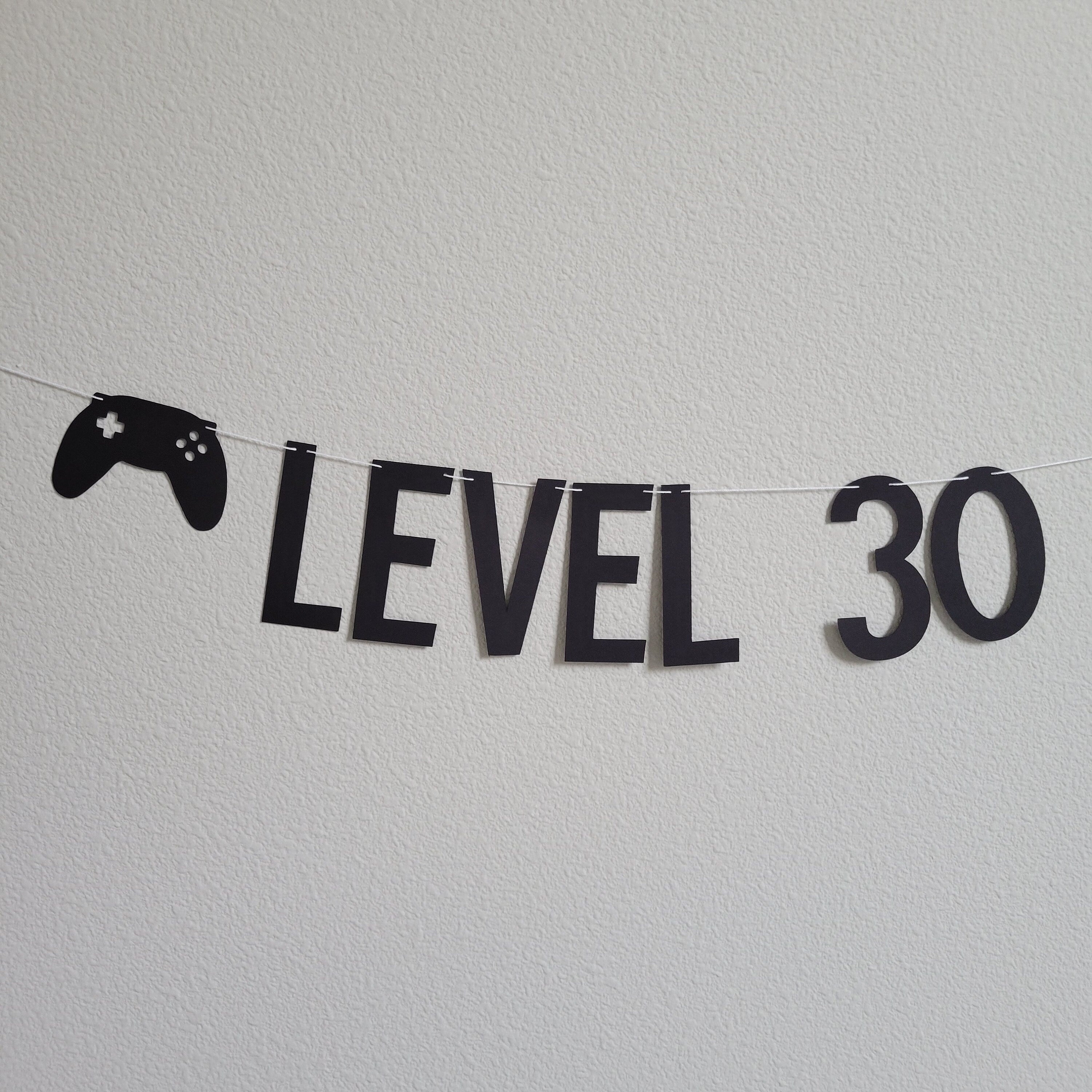 Custom Gaming Banner, Gamer Birthday, Gaming Birthday Banner, 30th Birthday, Video Game Party, Level 20 Unlocked, Controller Banner