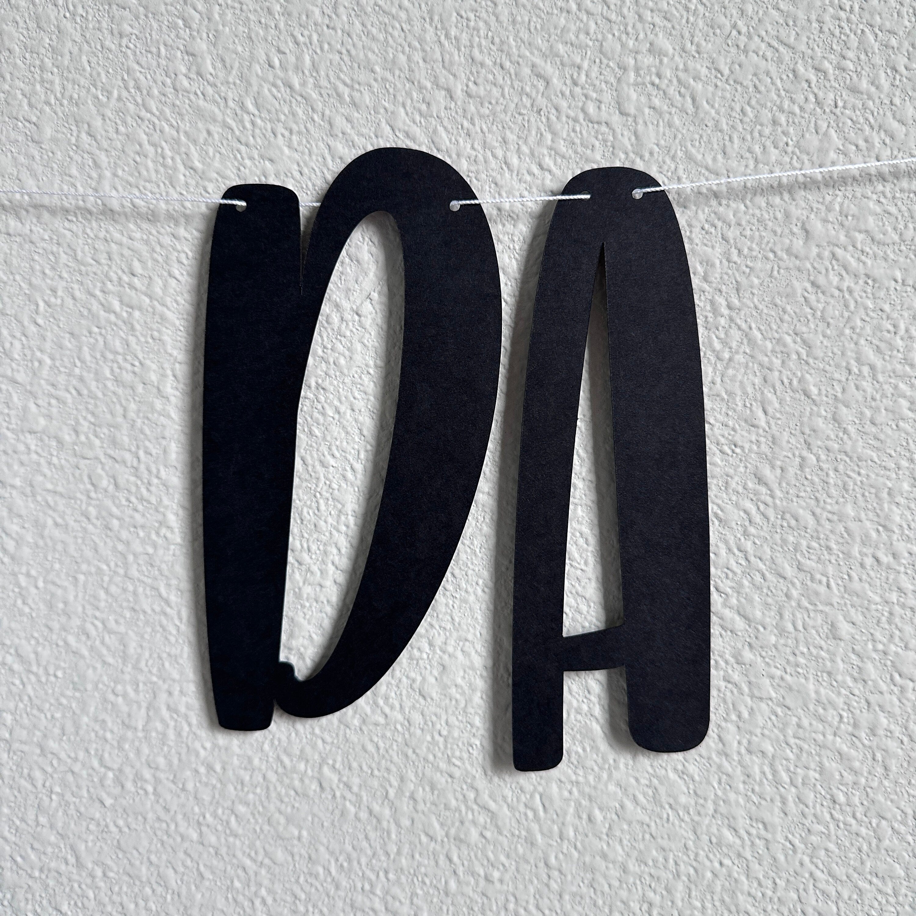 Two Da Bayou, Second Birthday Banner, Two Da Bayou Banner, Two Da Bayou Decorations, Bayou Decor, Bayou Decorations, Bayou Banner