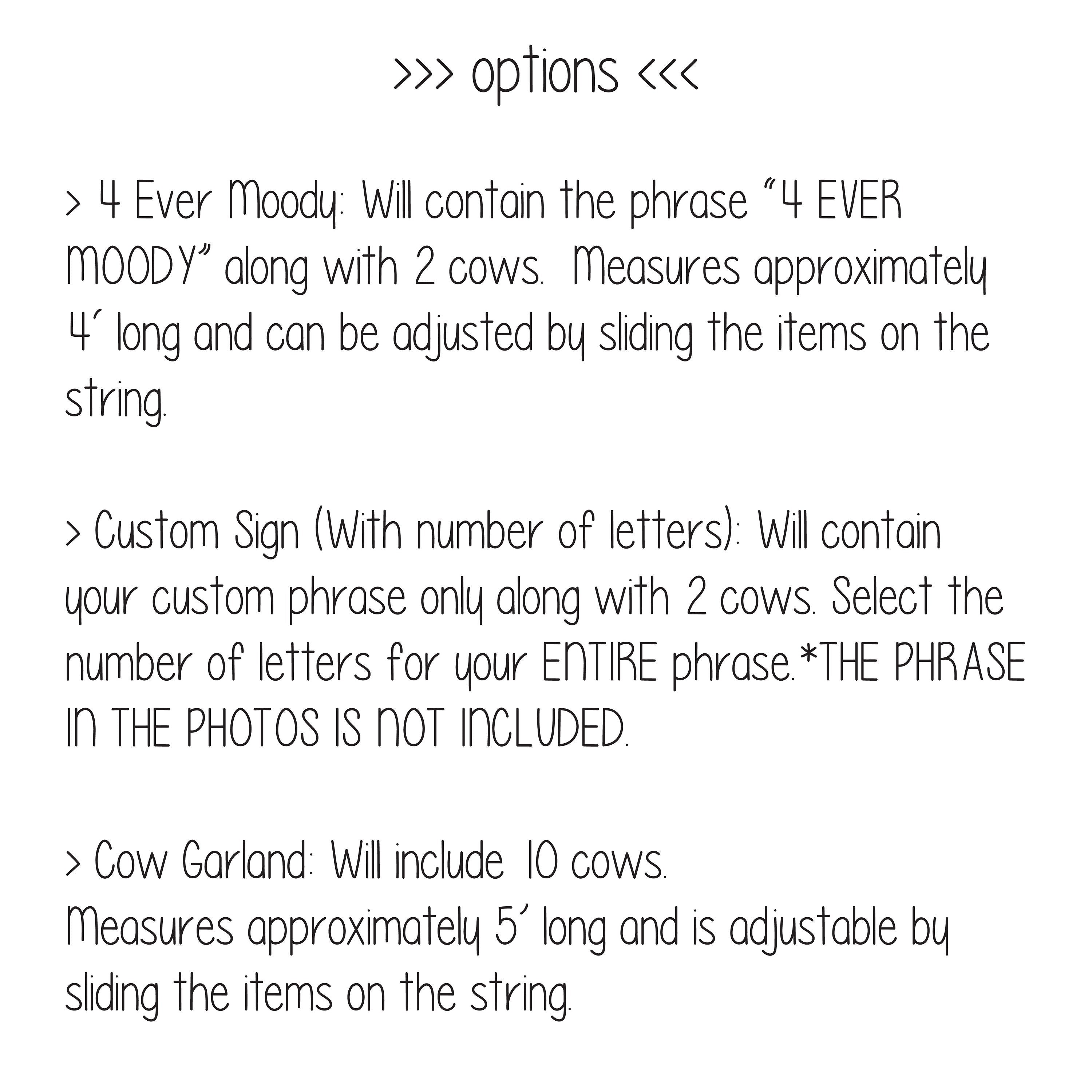 4 Ever Moody, 4th Birthday Banner, Cow Themed 4th Birthday, 4th Birthday Party, Custom Cow Banner