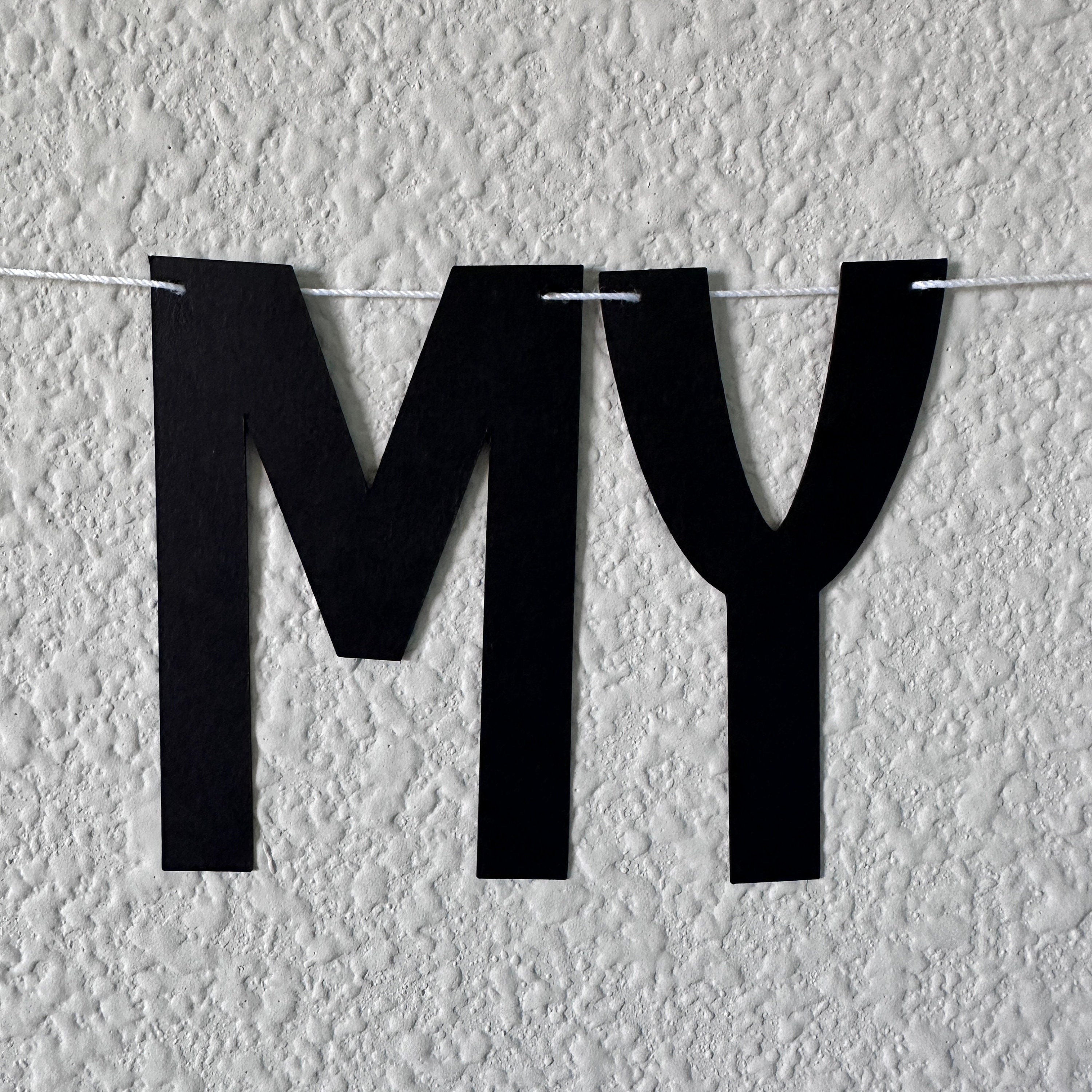 RIP To My Twenties Banner, 30th Birthday Banner, Funny 30th Birthday Decor