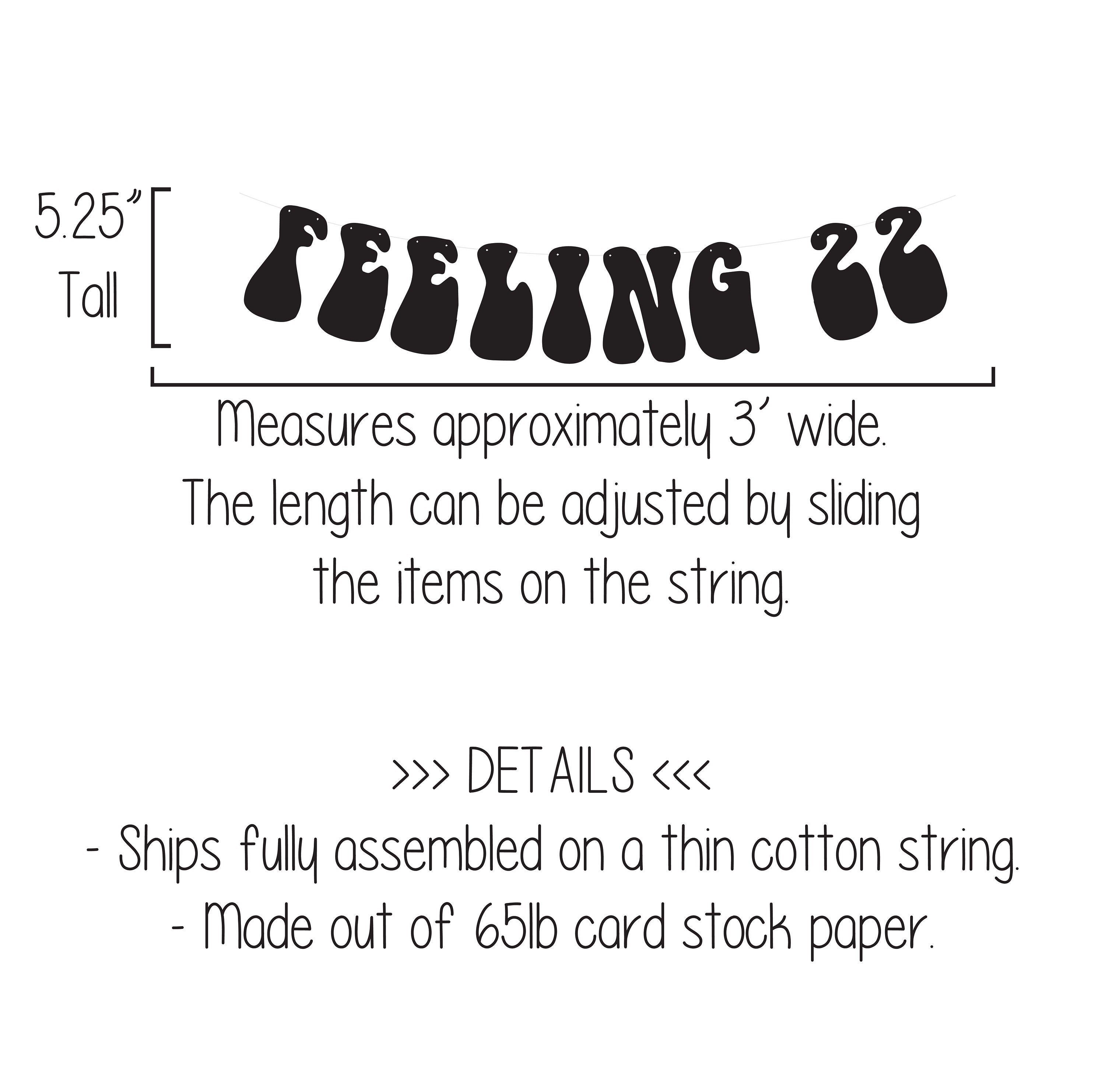 Feeling 22, Feeling 22 Banner, Custom Banner, Feeling 22 Decorations, Feeling 22 Party, 22nd Birthday, Turning 22