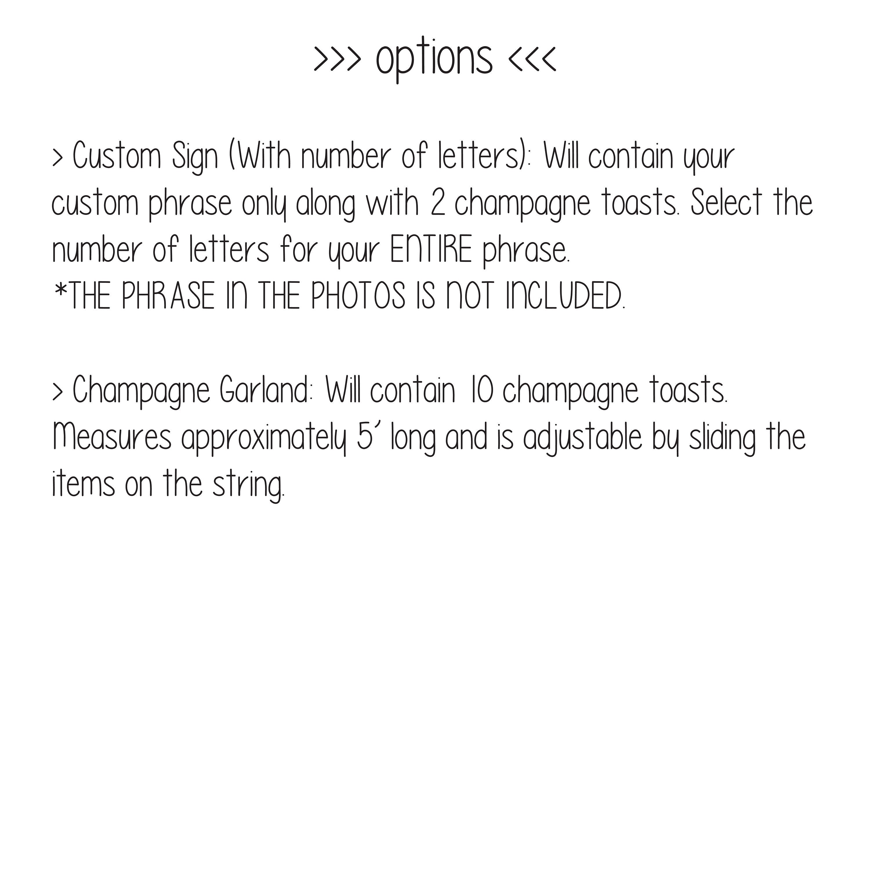 Custom Champagne Banner, Cheers Banner, Toasting Banner, Last Toast On The Coast, Cheers Decorations, Bachelorette Decorations