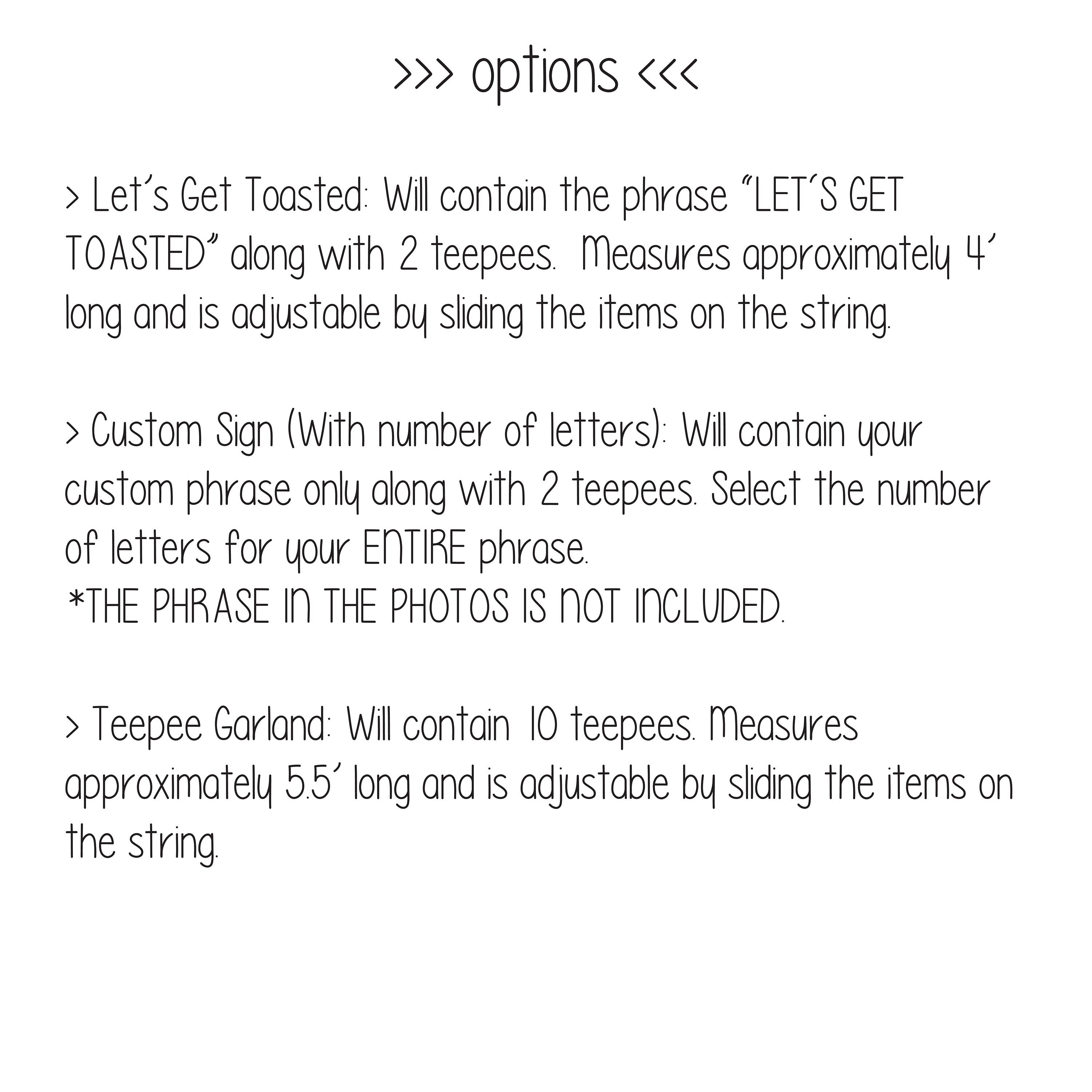 Let&#39;s Get Toasted, Let&#39;s Get Toasted Banner, Camp Bachelorette, Custom Bachelorette Banner, Bachelorette, Camp Bach Crew, Bachelorette Party