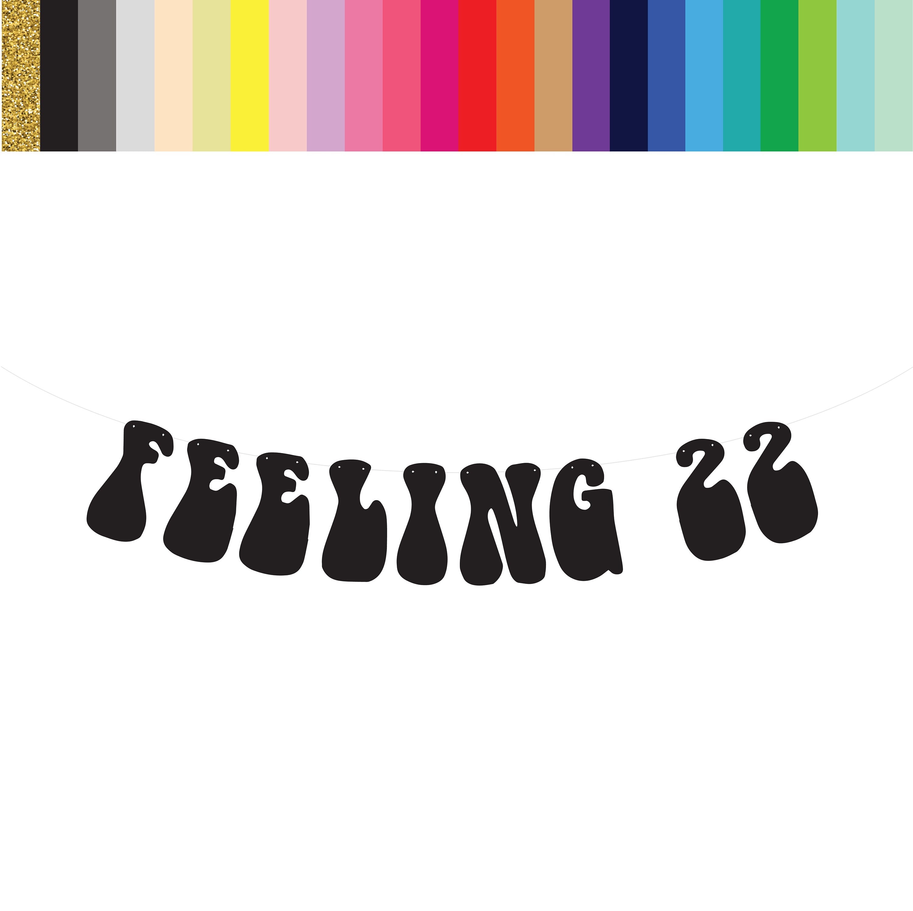 Feeling 22, Feeling 22 Banner, Custom Banner, Feeling 22 Decorations, Feeling 22 Party, 22nd Birthday, Turning 22