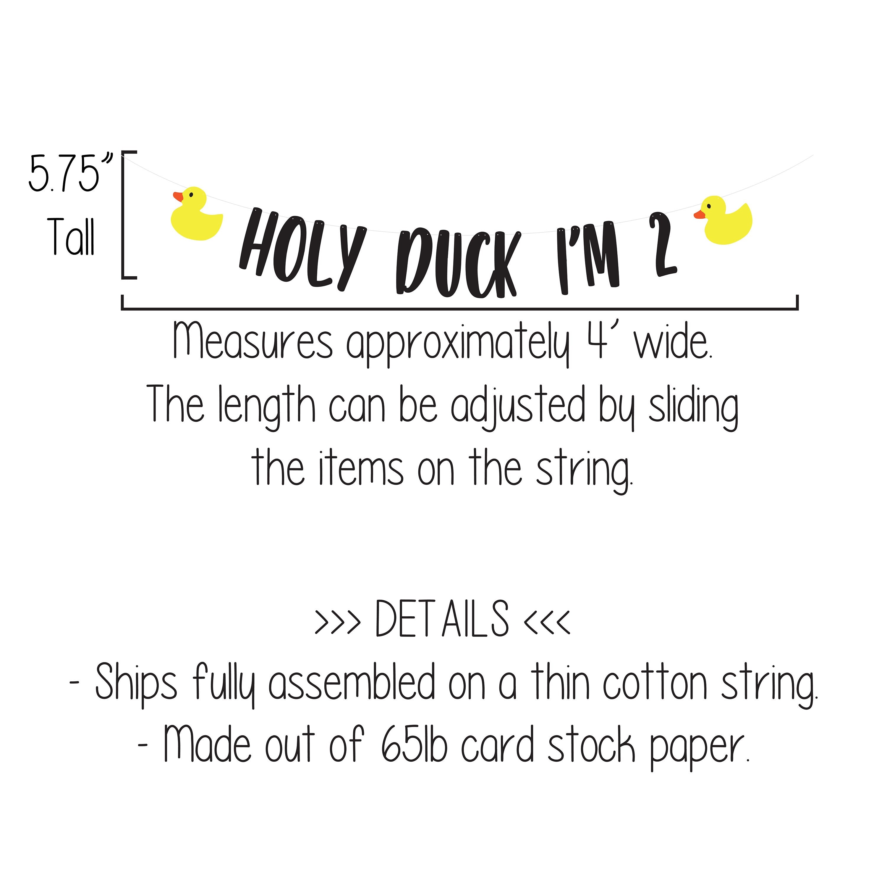 Holy Duck I&#39;m 2, Duck Garland, Duck Decorations, Duck Birthday, Duck Party, Duck Banner, Custom Duck Banner, Rubber Duck Theme, Yellow Ducks