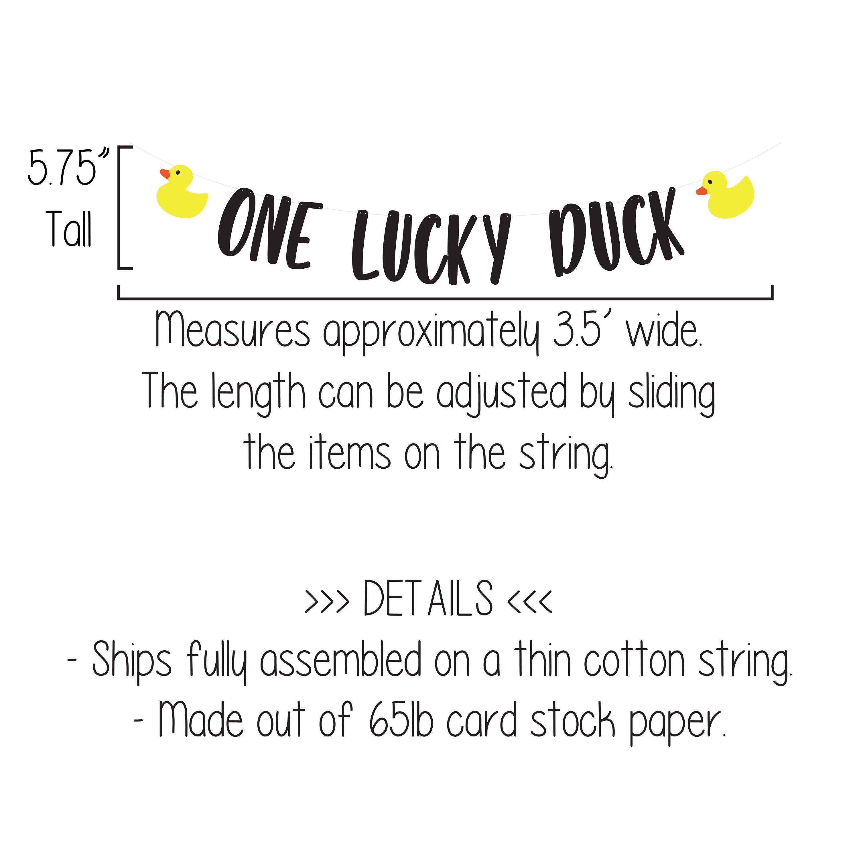 One Lucky Duck, Duck 1st Birthday, Duck Highchair Banner, Duck Garland, Custom Duck Banner, Rubber Duck Theme, Yellow Ducks