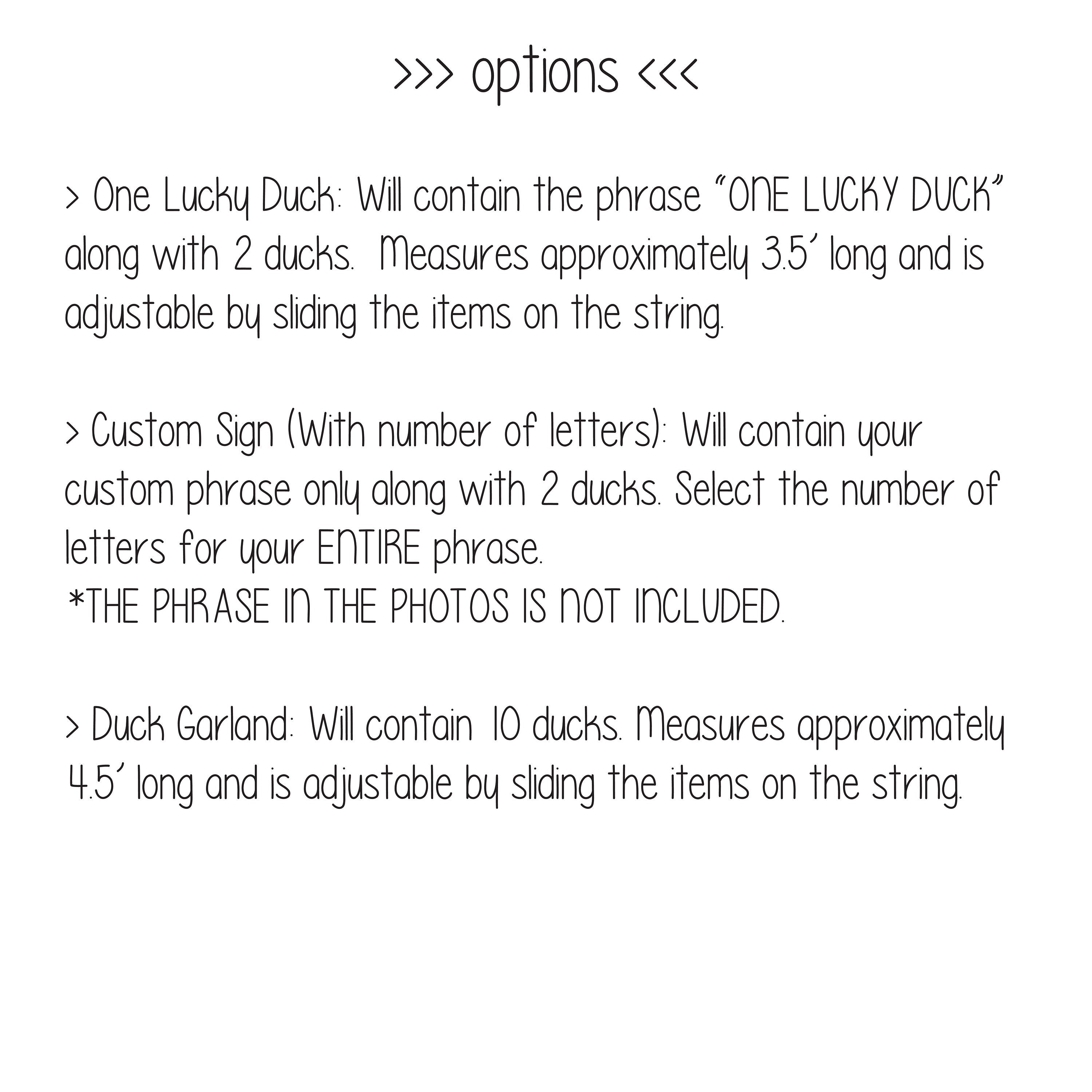 One Lucky Duck, Duck 1st Birthday, Duck Highchair Banner, Duck Garland, Custom Duck Banner, Rubber Duck Theme, Yellow Ducks