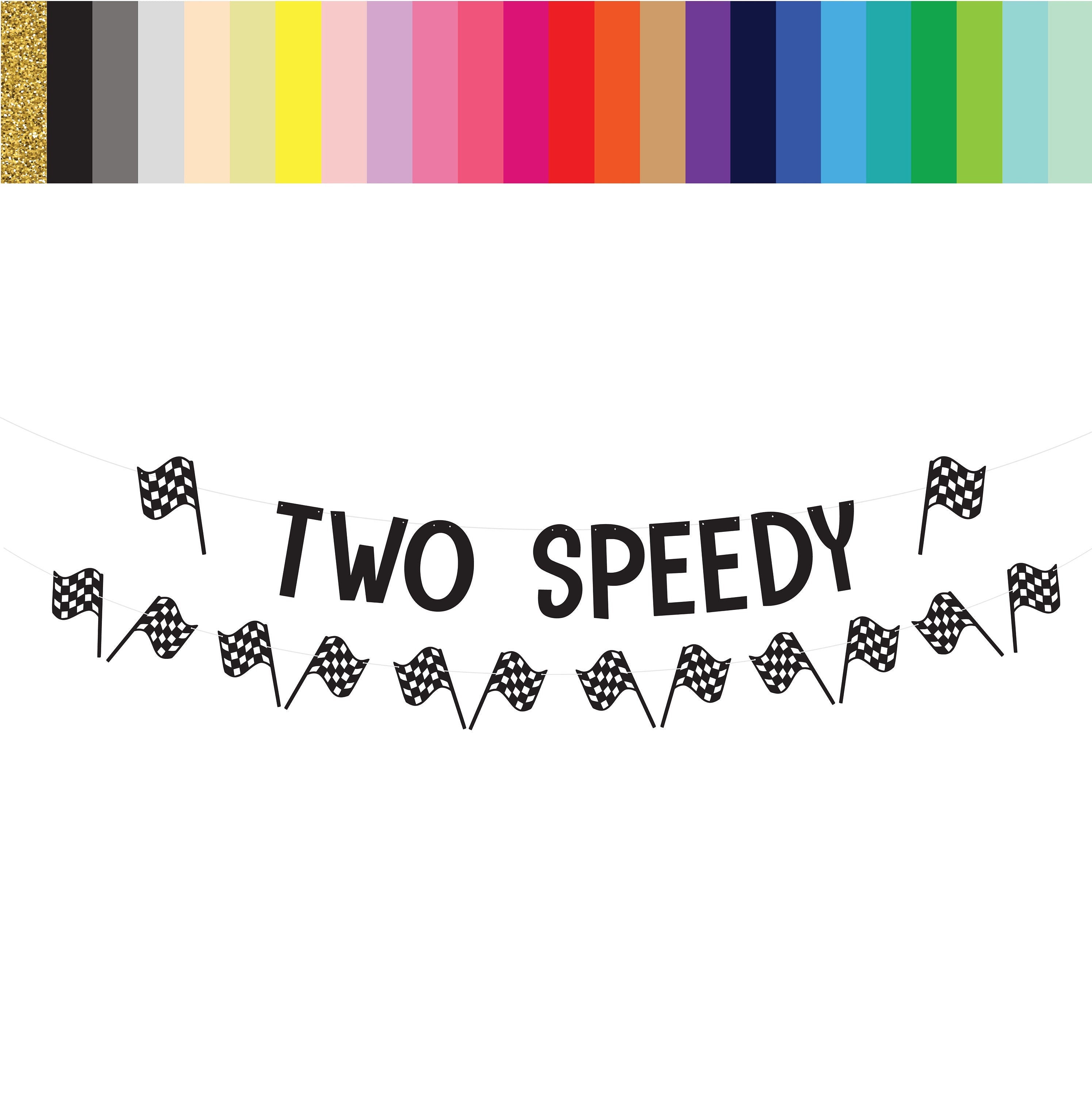 Two Speedy, Two Speedy Banner, Two Speedy Theme, Racing Decorations, Race Car Birthday Party, Racing Birthday Party, Custom Racing Banner