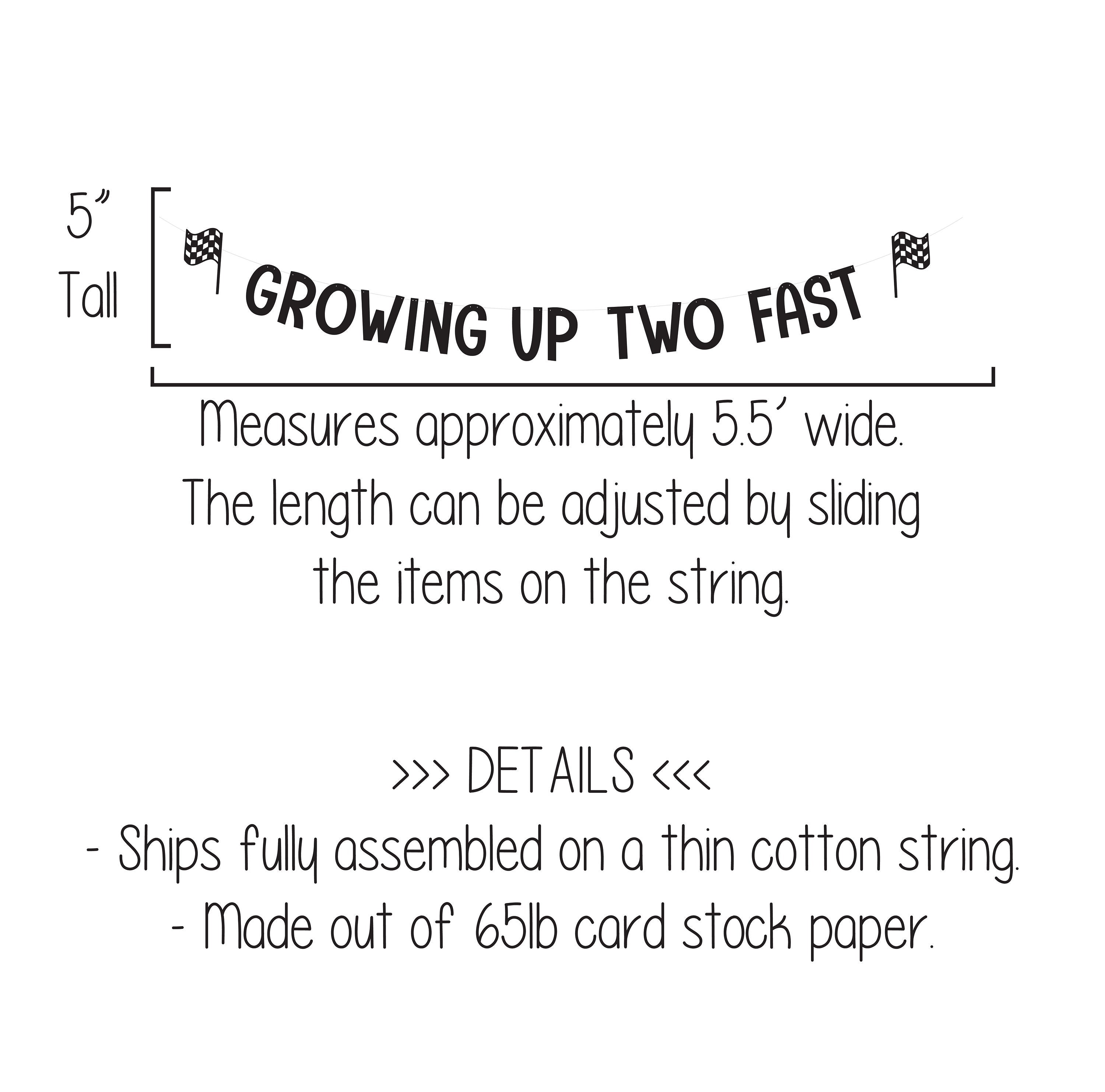 Growing Up Two Fast, Growing Up Two Fast Banner, Racing Decorations, Race Car Birthday Party, Racing Birthday Party, Custom Racing Banner