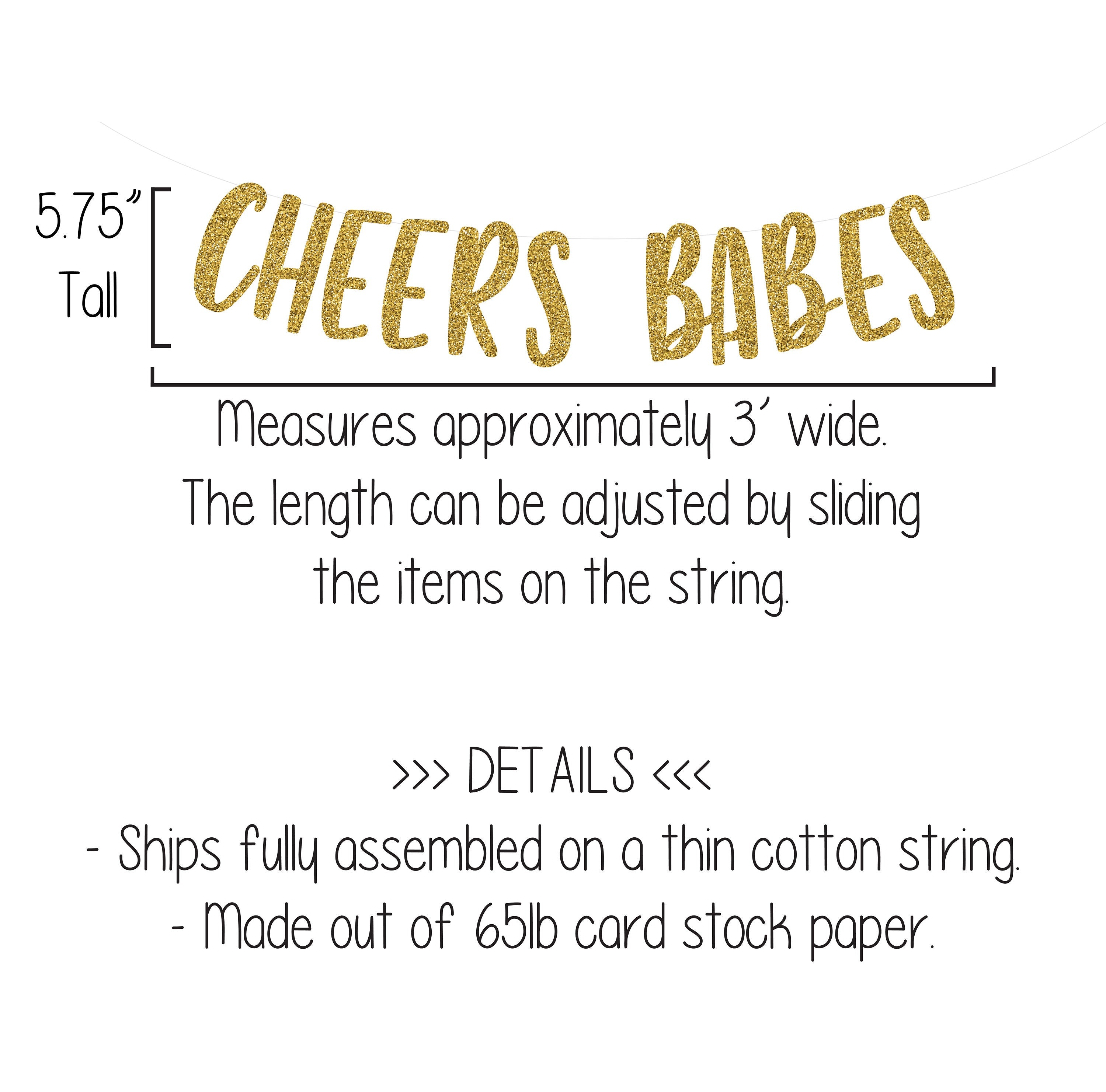 Cheers Babes, Cheers Babes Banner, Girl Power Banner, Custom Banner, Girls Night Banner, Girls Weekend Banner, Girls Trip, Bachelorette