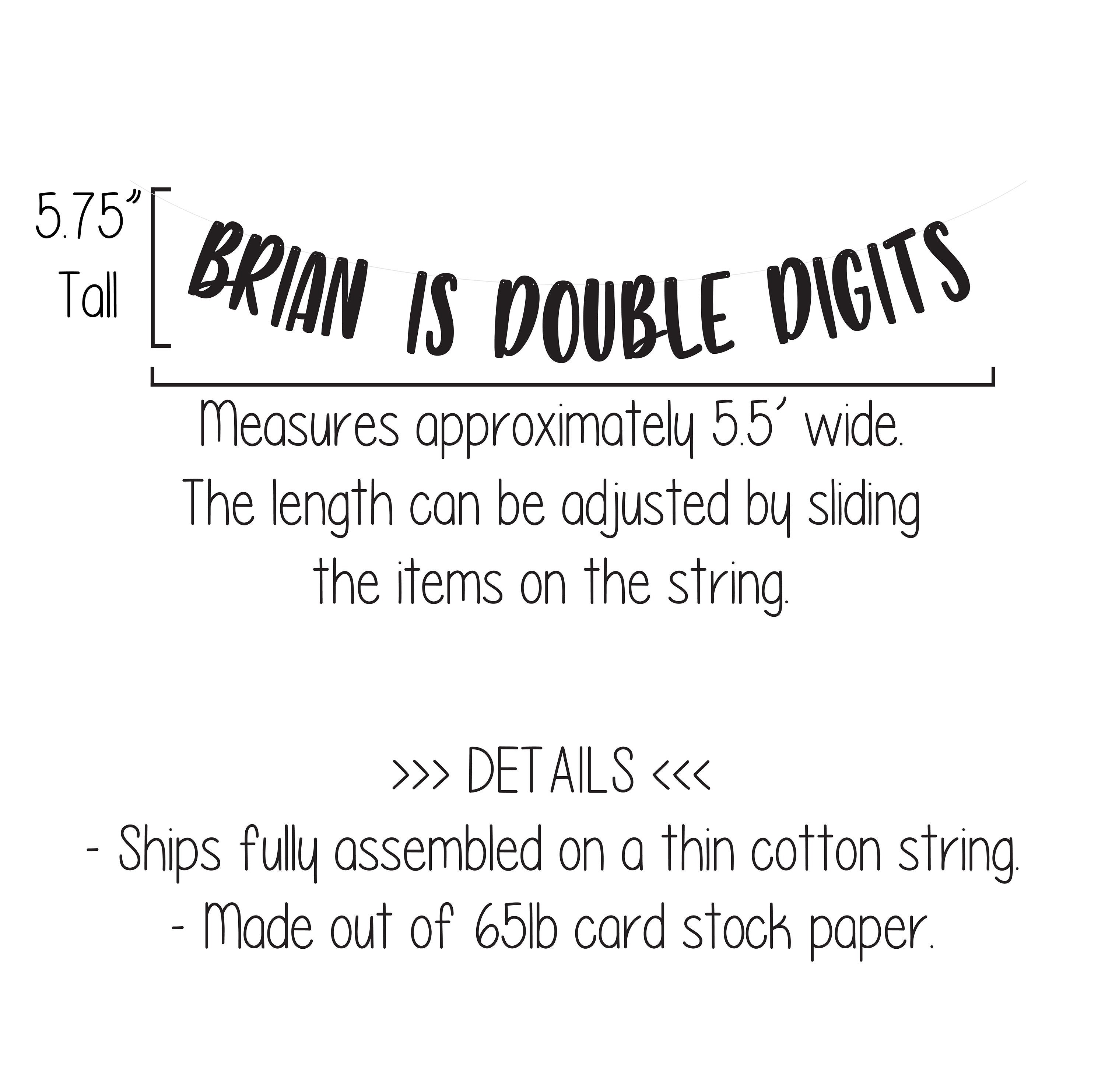 Double Digits, Name Is Double Digits Banner, 10th Birthday Banner, 10 Years Old, Ten Year Old Party Decorations, 10th Birthday Decorations