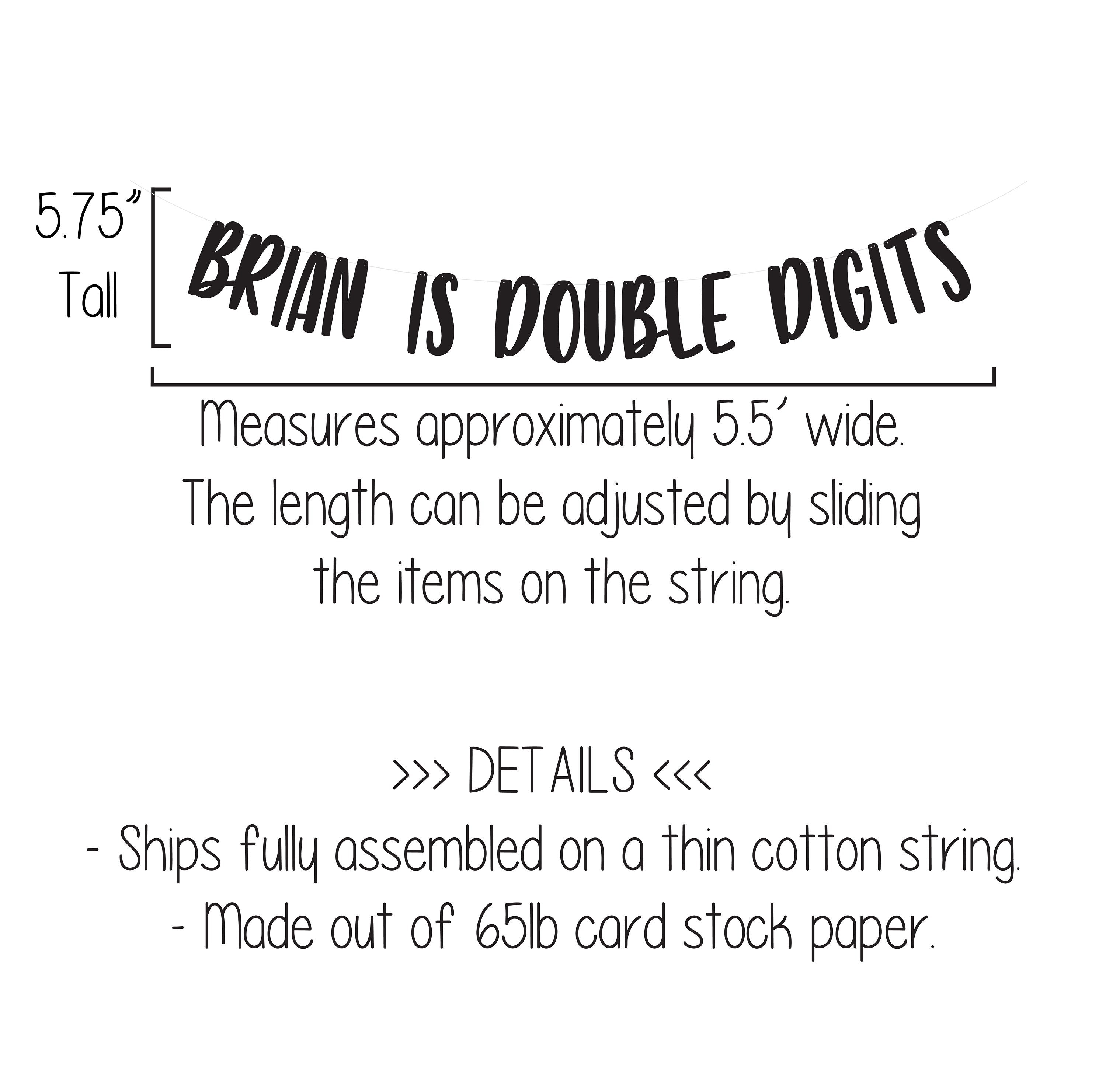 Double Digits, Name Is Double Digits Banner, 10th Birthday Banner, 10 Years Old, Ten Year Old Party Decorations, 10th Birthday Decorations