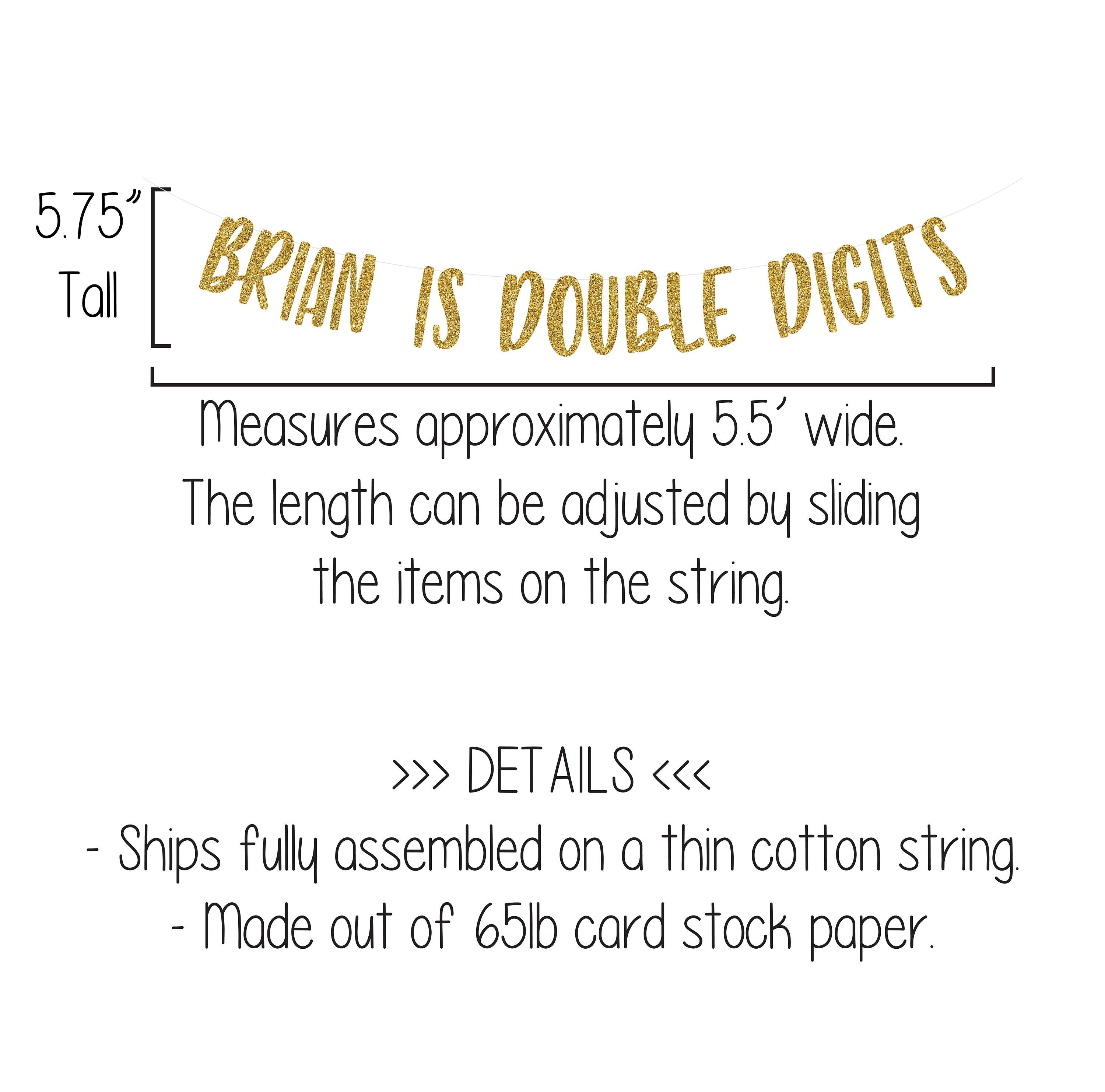 Double Digits, Name Is Double Digits Banner, 10th Birthday Banner, 10 Years Old, Ten Year Old Party Decorations, 10th Birthday Decorations