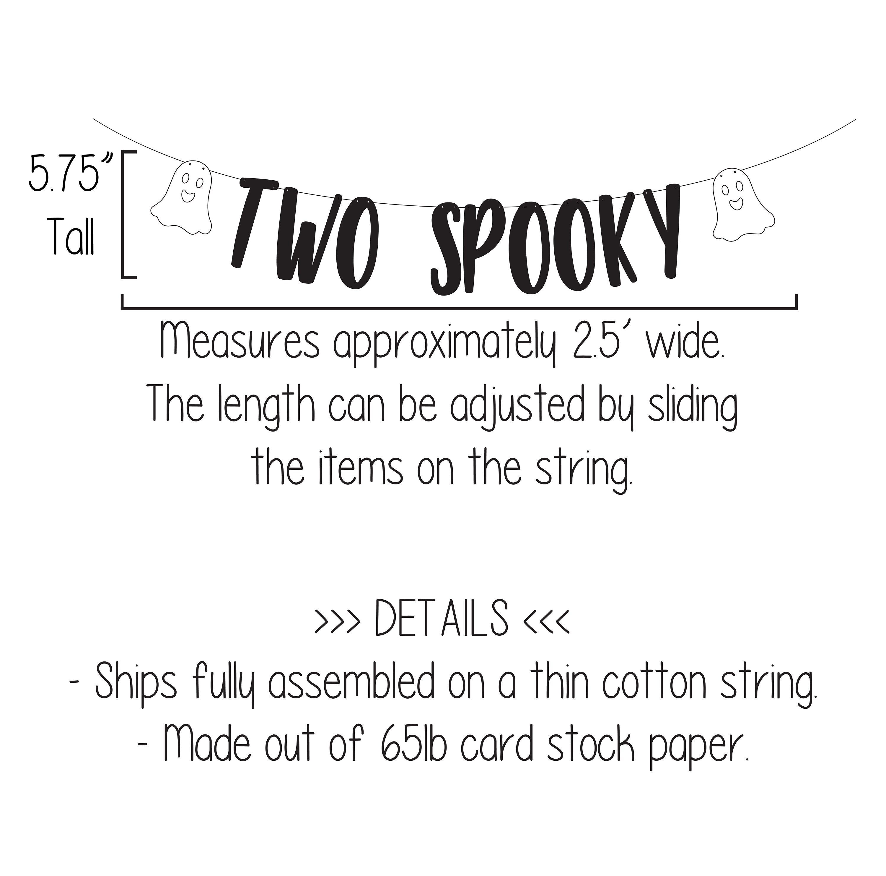Two Spooky, Two Spooky Banner, Two Spooky Decorations, Halloween 2nd Birthday, Halloween Second Birthday, October 2nd Birthday