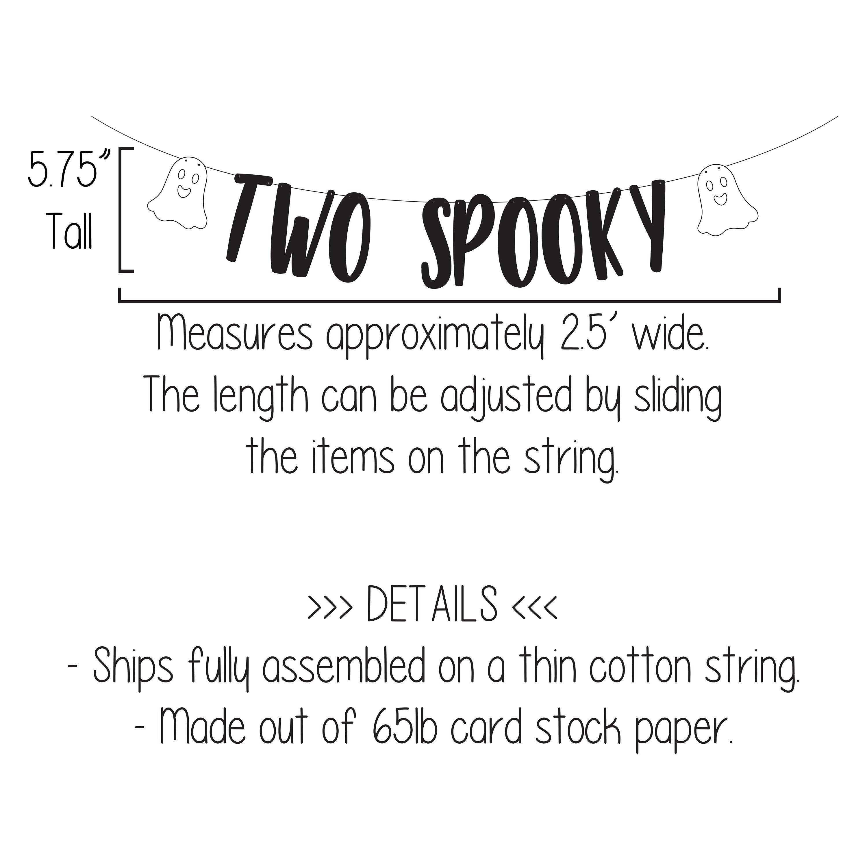 Two Spooky, Two Spooky Banner, Two Spooky Decorations, Halloween 2nd Birthday, Halloween Second Birthday, October 2nd Birthday