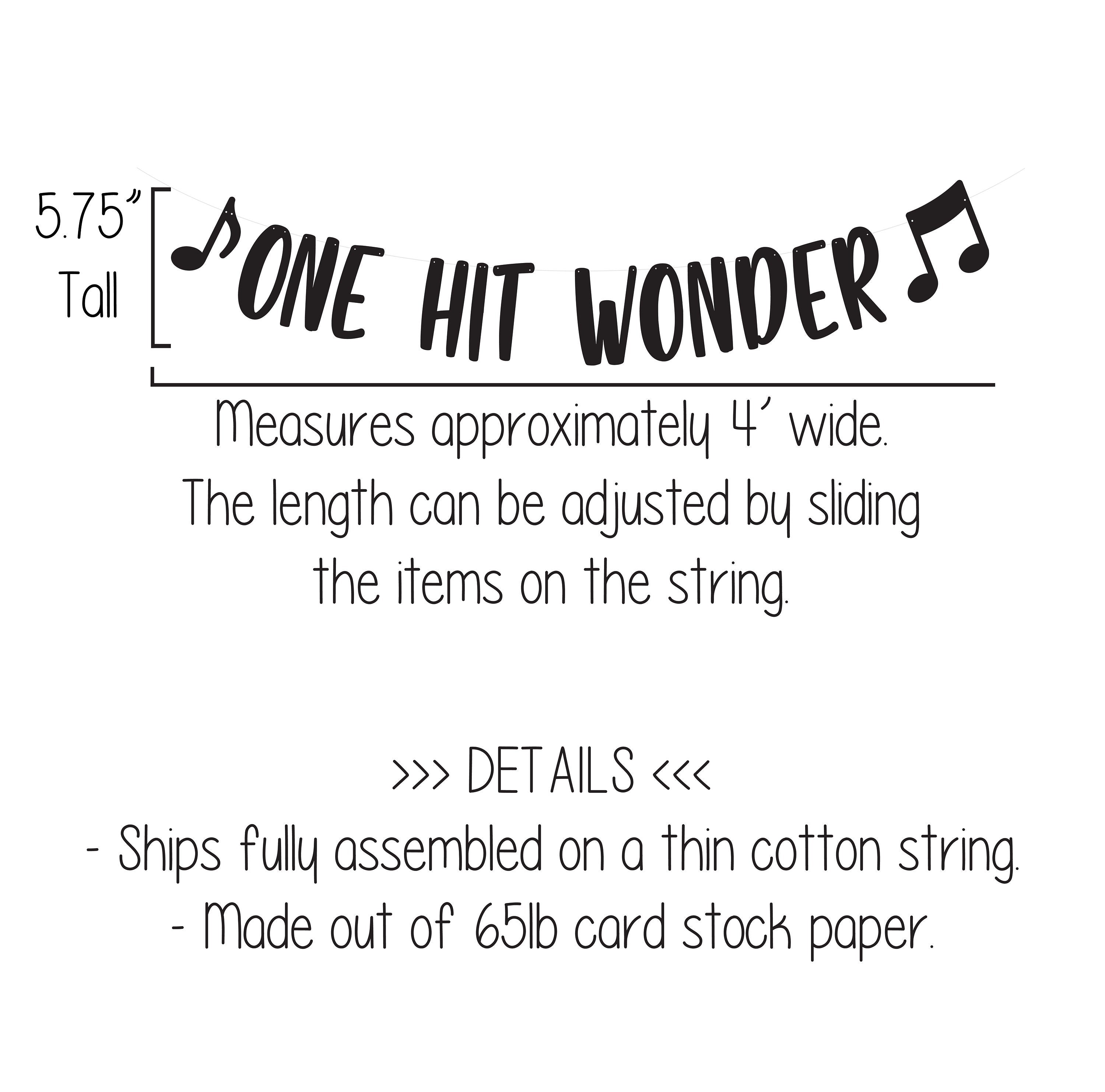 One Hit Wonder, Music Birthday Banner, Custom Music Banner, Music Theme, Music Decorations, Music Banner, Custom banner, 1st Birthday