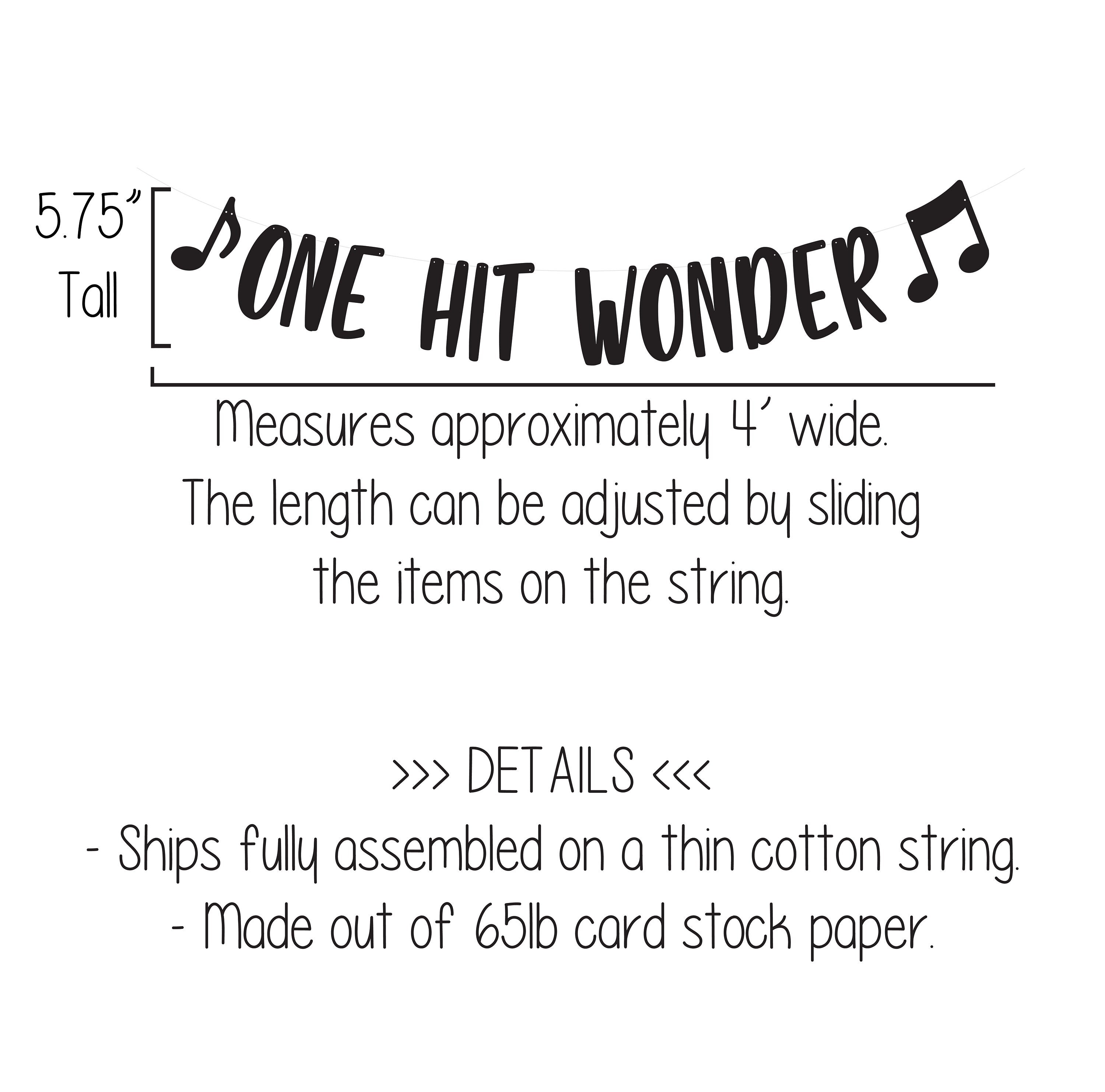 One Hit Wonder, Music Birthday Banner, Custom Music Banner, Music Theme, Music Decorations, Music Banner, Custom banner, 1st Birthday