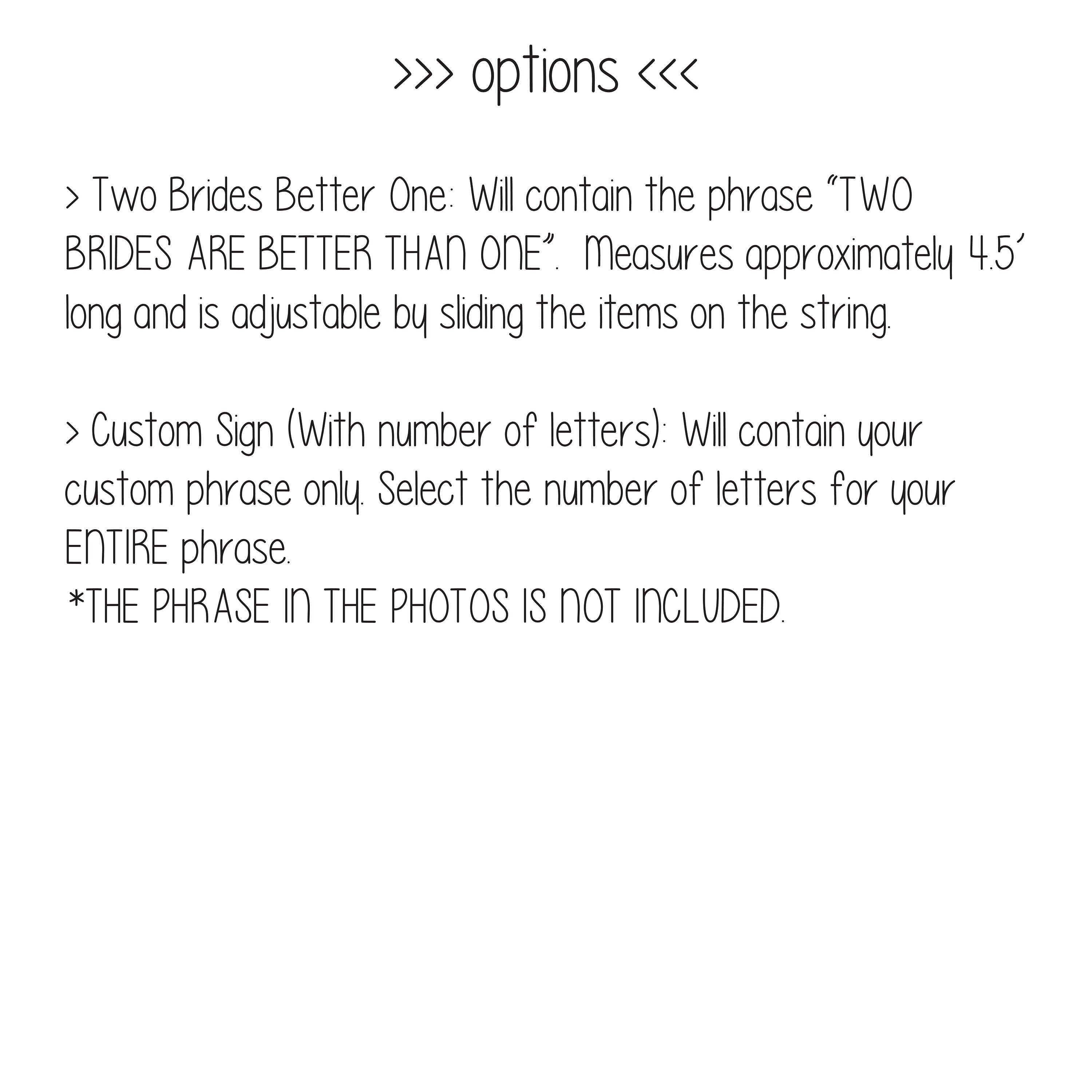 Two Brides Are Better Than One, Lesbian Wedding, 2 Brides Are Better Than 1, 2 Brides Banner, Custom Banner, Lesbian Wedding Decorations
