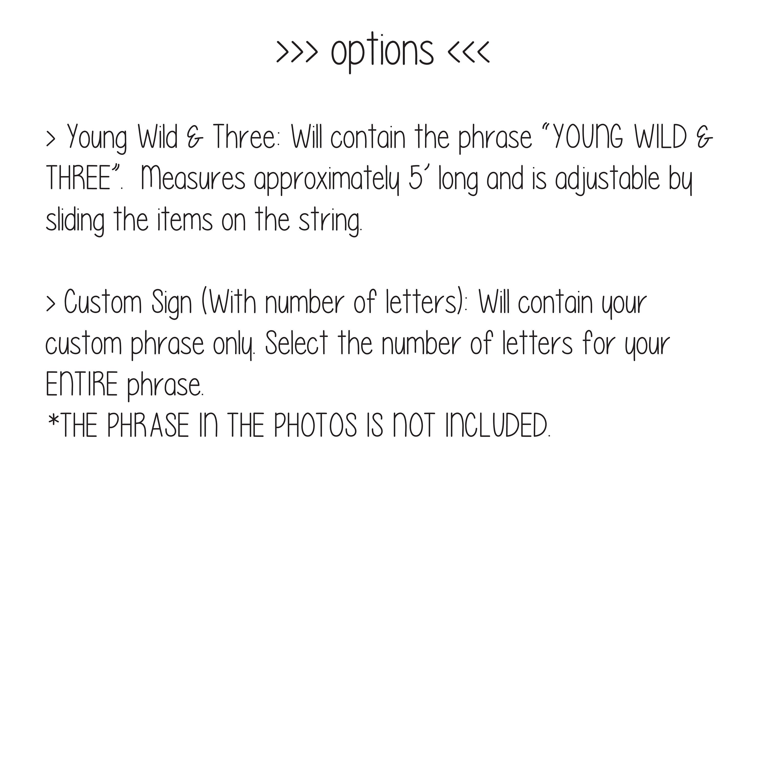 Young Wild & Three, Young Wild and Three Banner, Young Wild and Three Decorations, 3rd Birthday ideas, Third Birthday