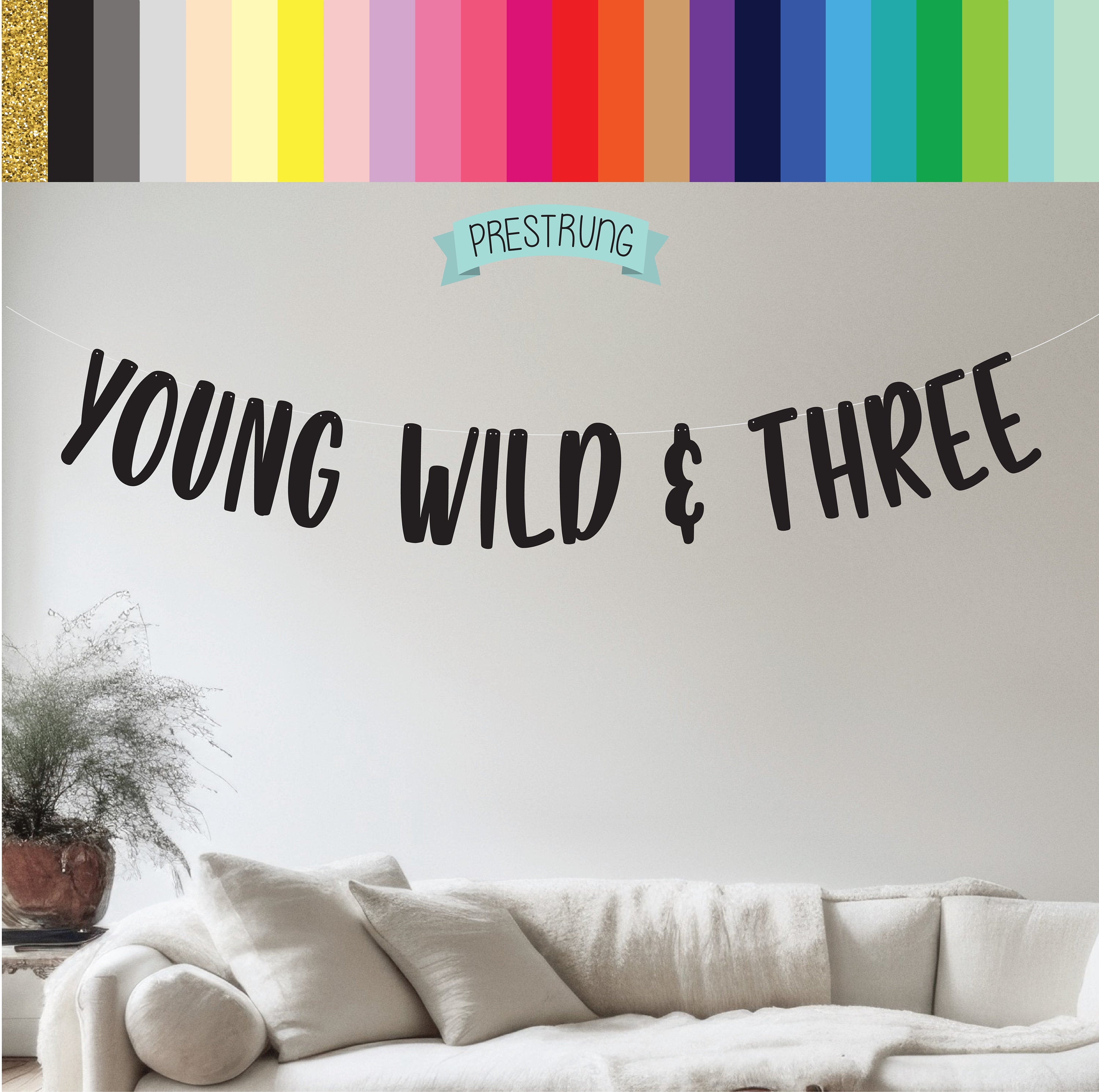 Young Wild & Three, Young Wild and Three Banner, Young Wild and Three Decorations, 3rd Birthday ideas, Third Birthday