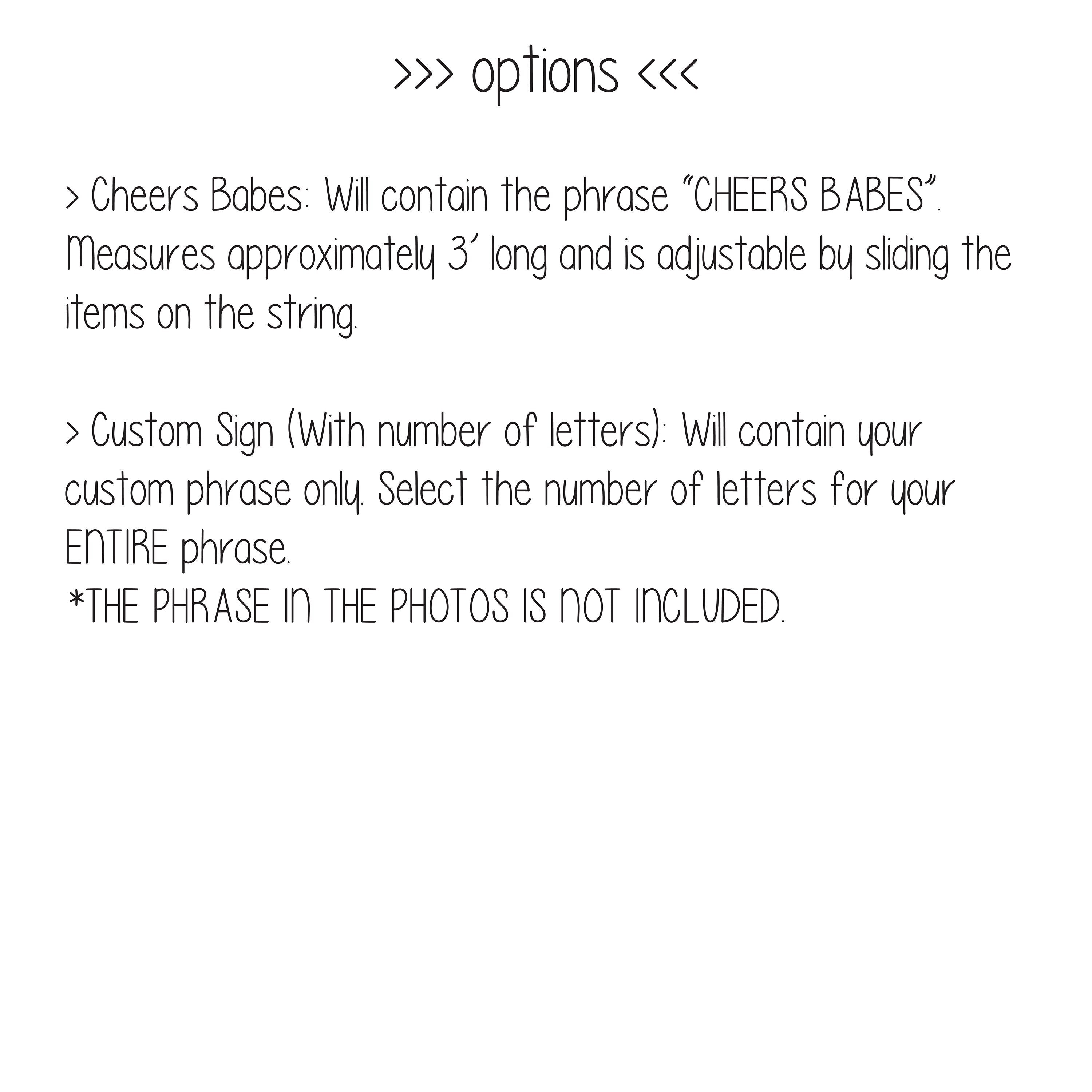 Cheers Babes, Cheers Babes Banner, Girl Power Banner, Custom Banner, Girls Night Banner, Girls Weekend Banner, Girls Trip, Bachelorette