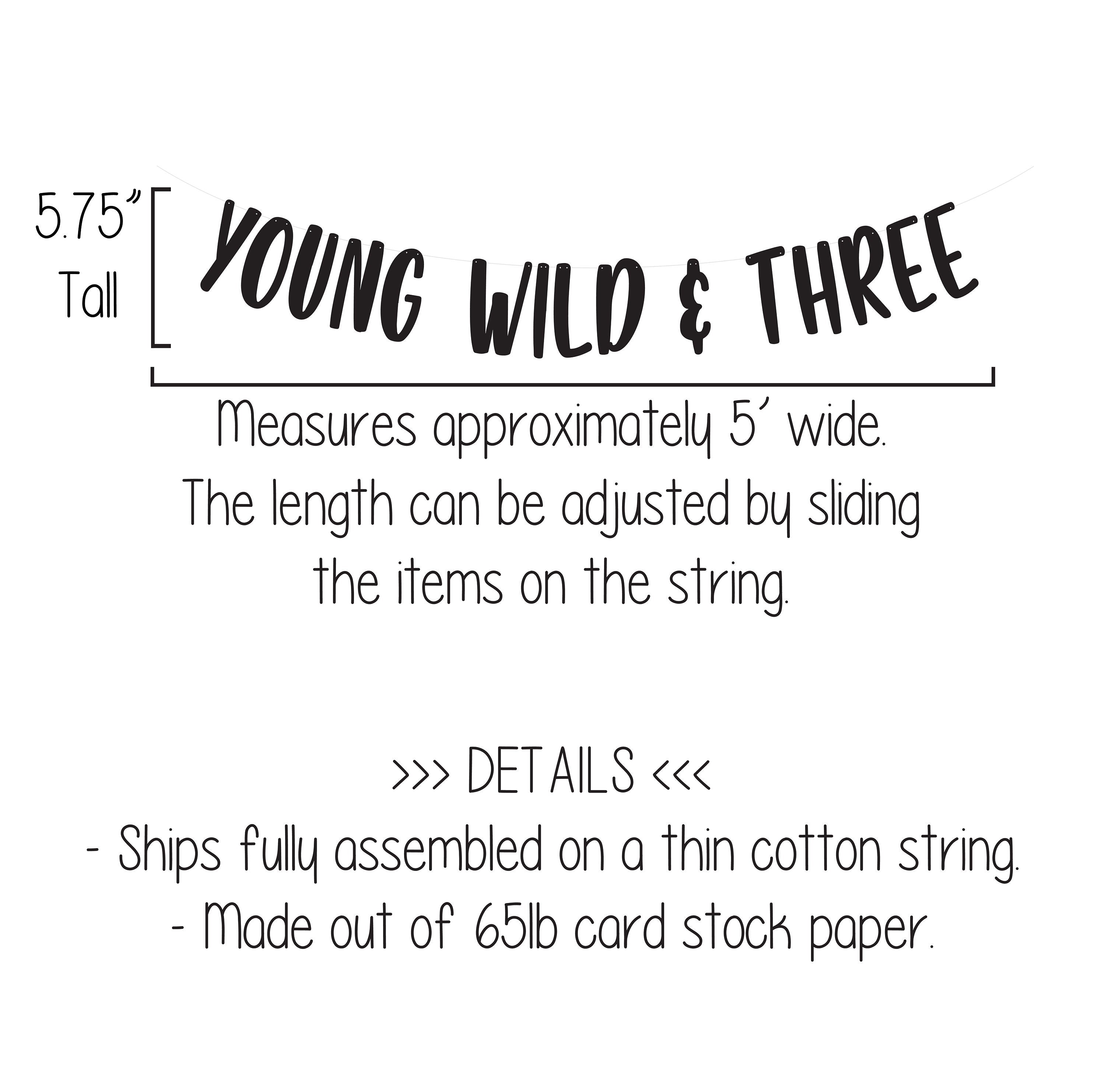 Young Wild & Three, Young Wild and Three Banner, Young Wild and Three Decorations, 3rd Birthday ideas, Third Birthday