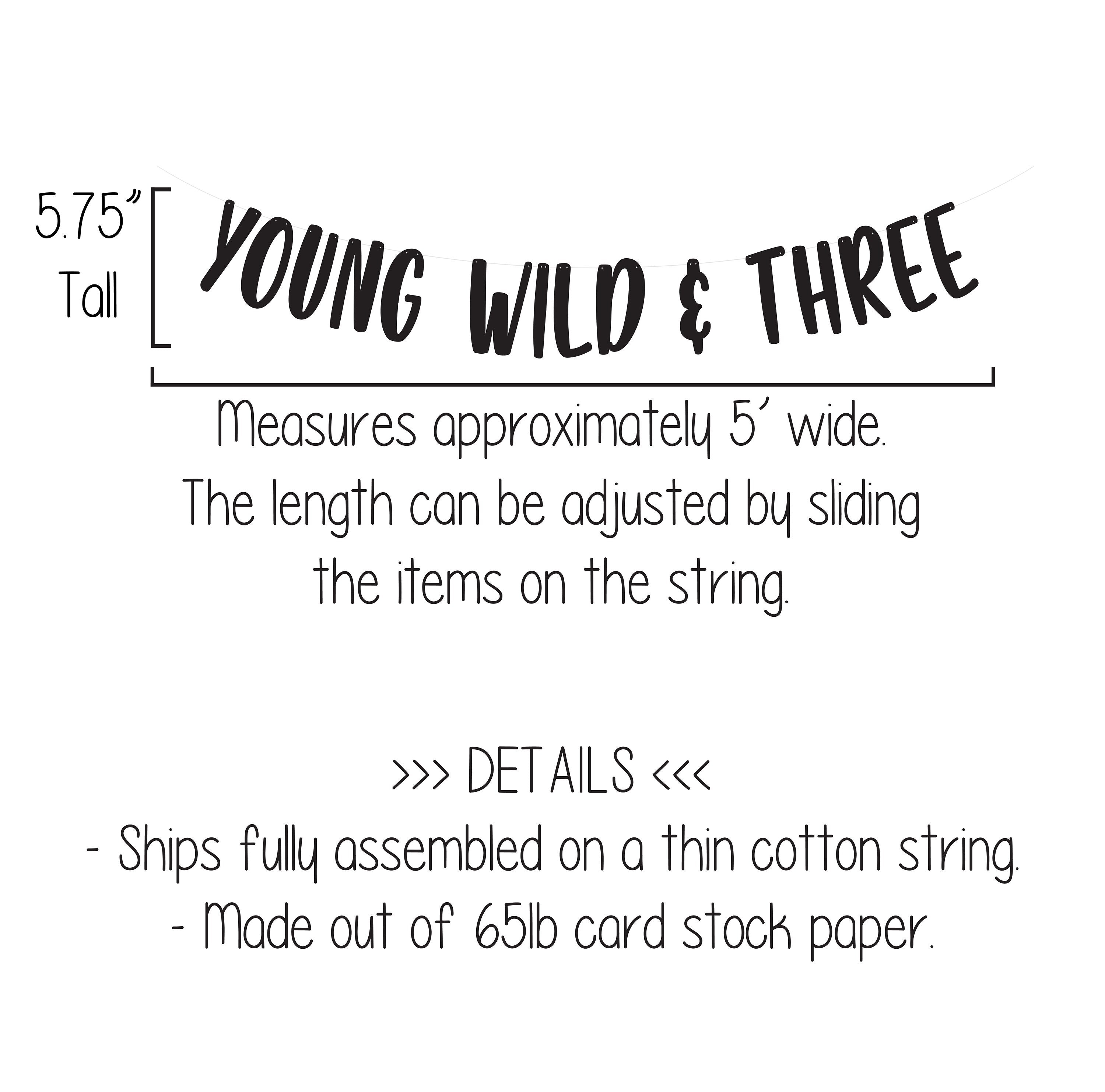 Young Wild & Three, Young Wild and Three Banner, Young Wild and Three Decorations, 3rd Birthday ideas, Third Birthday