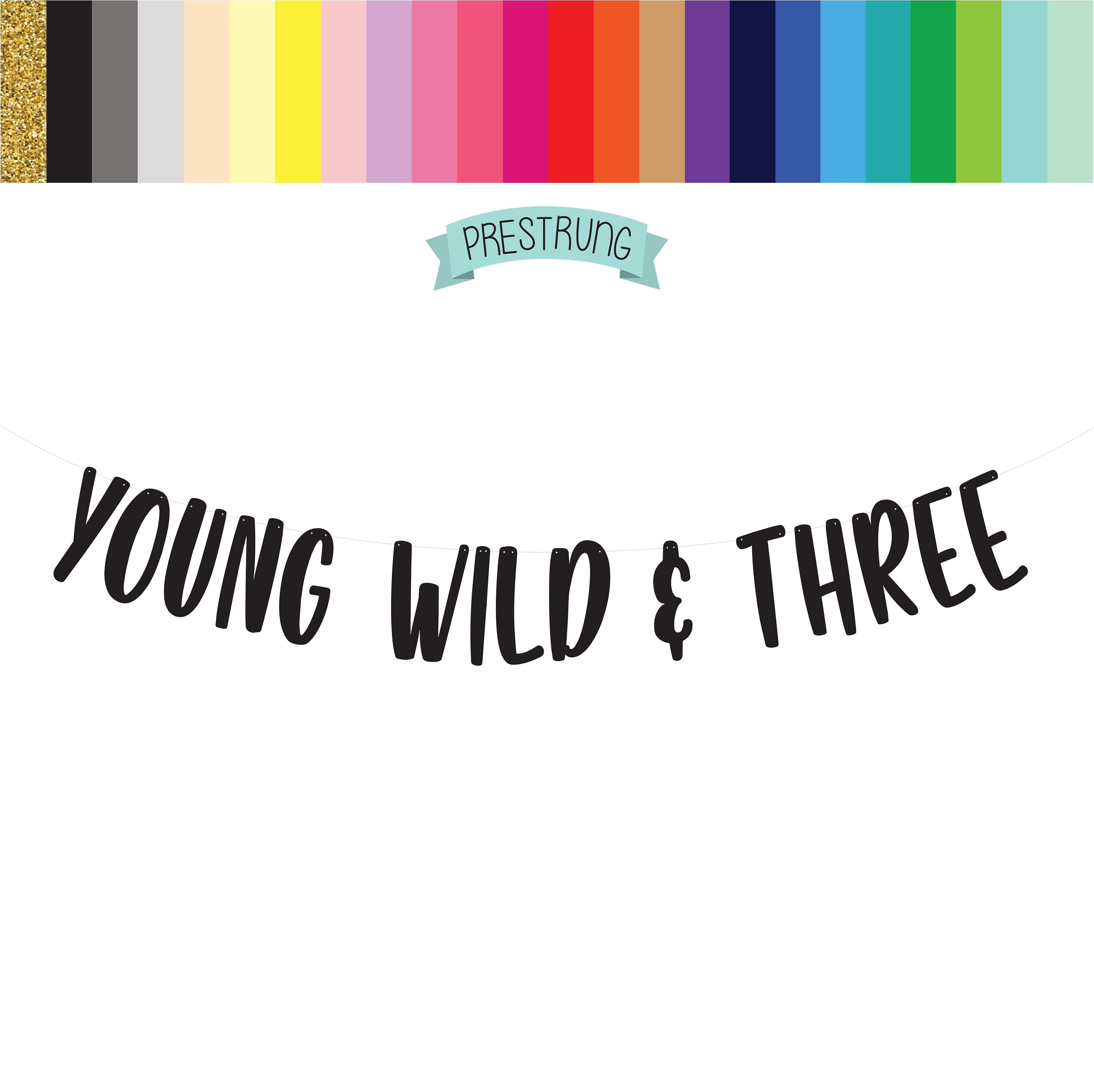 Young Wild & Three, Young Wild and Three Banner, Young Wild and Three Decorations, 3rd Birthday ideas, Third Birthday