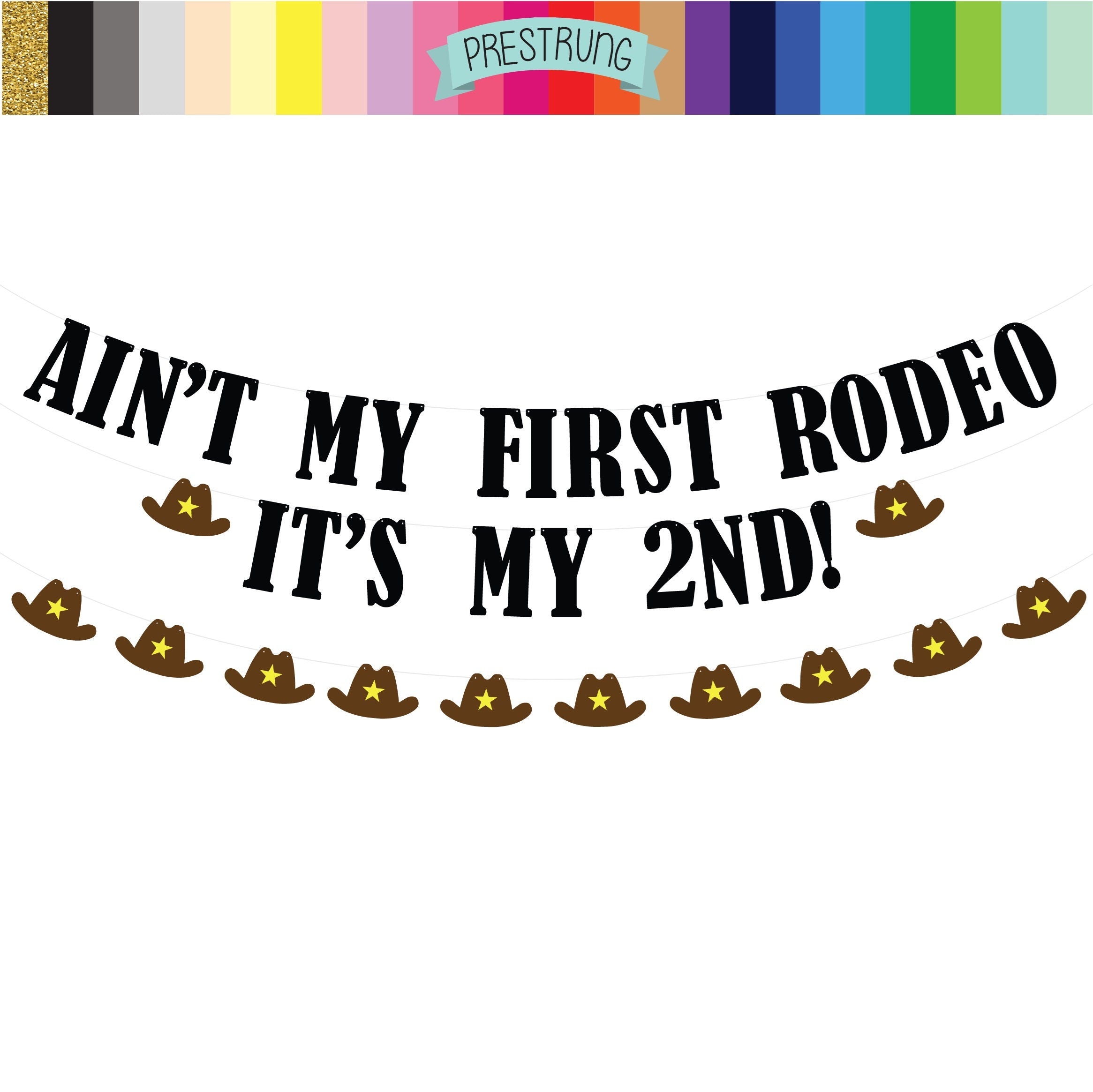Ain&#39;t My First Rodeo It&#39;s my 2nd, 2nd Birthday Ideas, 2nd Birthday Decorations, Second Birthday Ideas, Second Birthday Decorations
