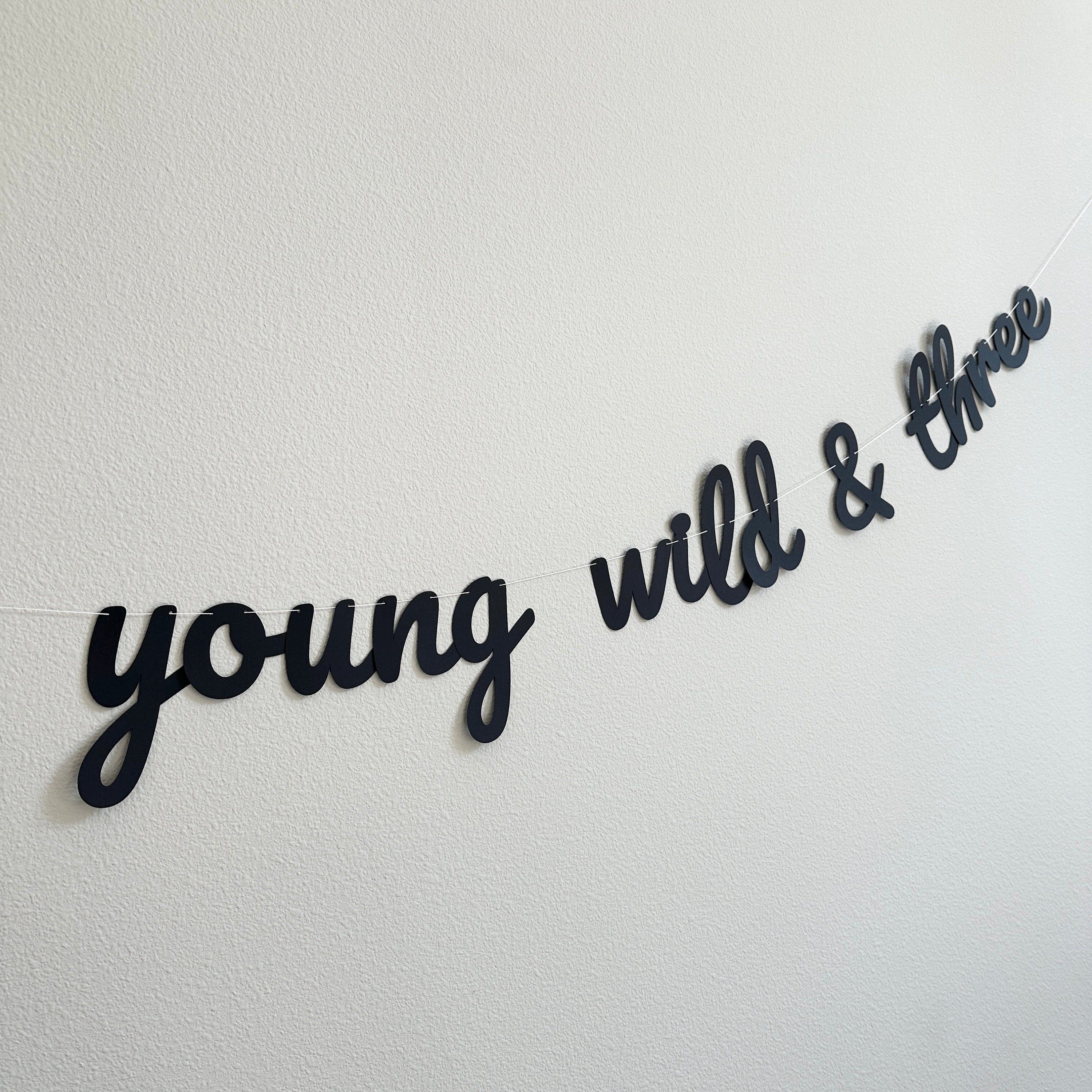 Young Wild & Three, Young Wild and Three Banner, 3rd Birthday Party, 3rd Birthday Banner, 3rd Birthday Party Decor