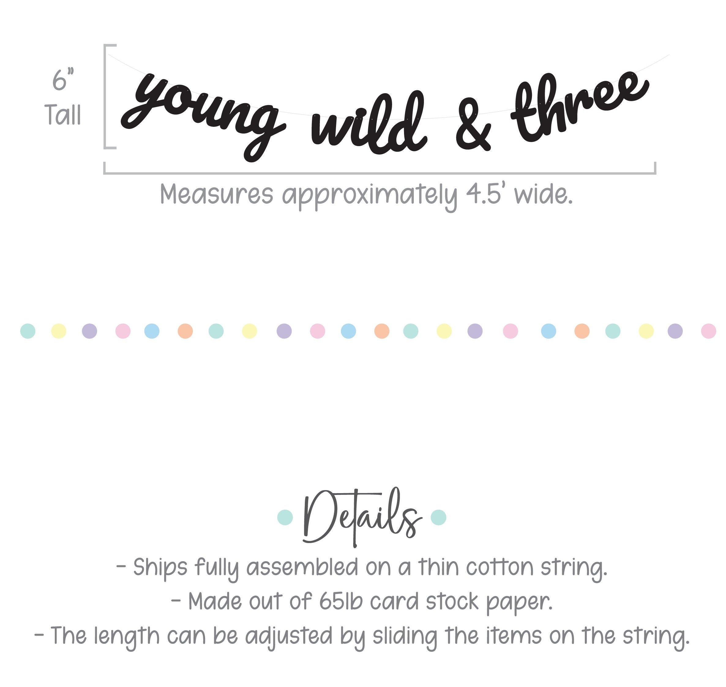 Young Wild & Three, Young Wild and Three Banner, 3rd Birthday Party, 3rd Birthday Banner, 3rd Birthday Party Decor