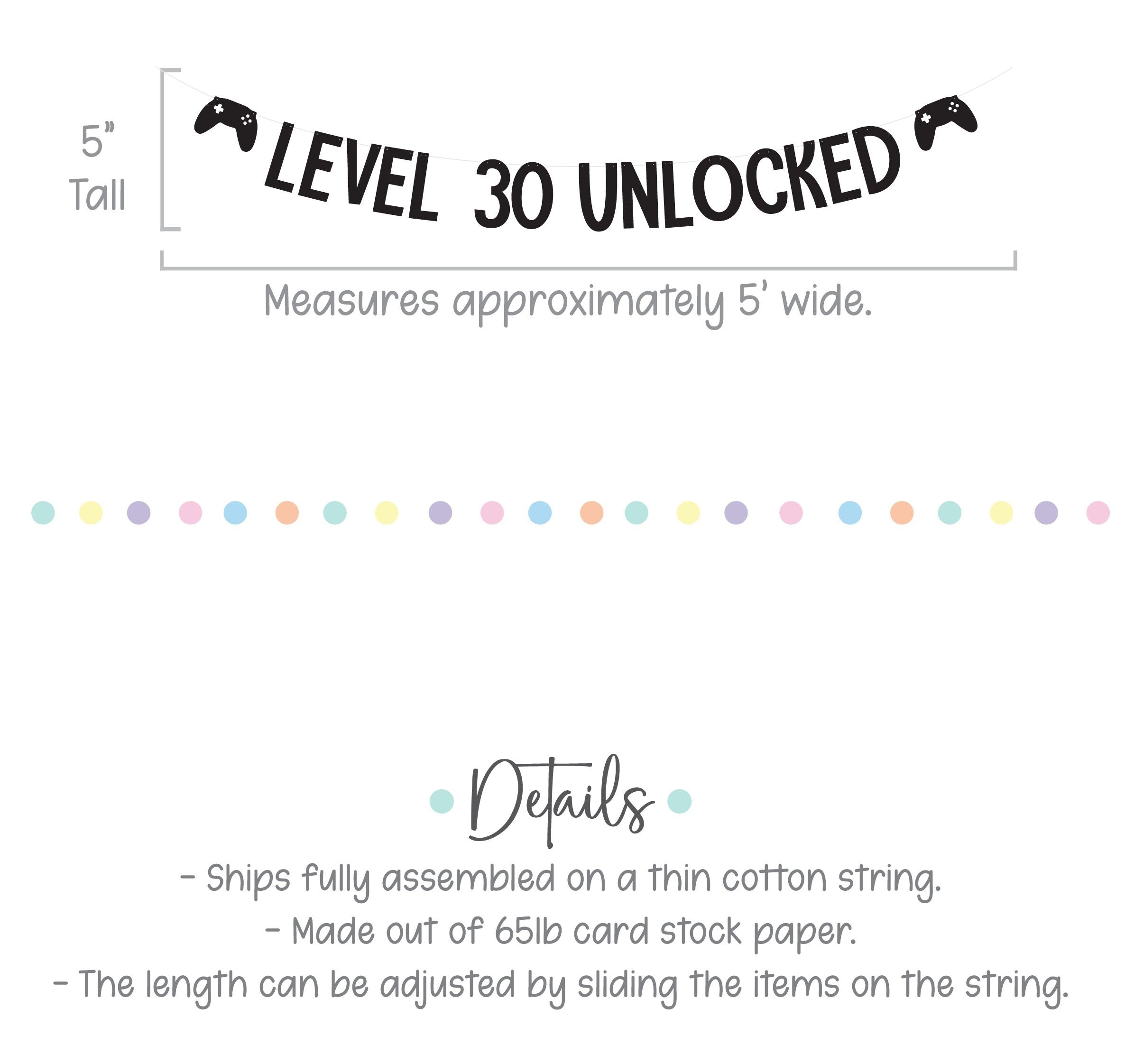 Level 30 Unlocked, Gamer Birthday, Gaming Birthday Banner, 30th Birthday, Video Game Party, Custom Gamer Banner, Controller Banner