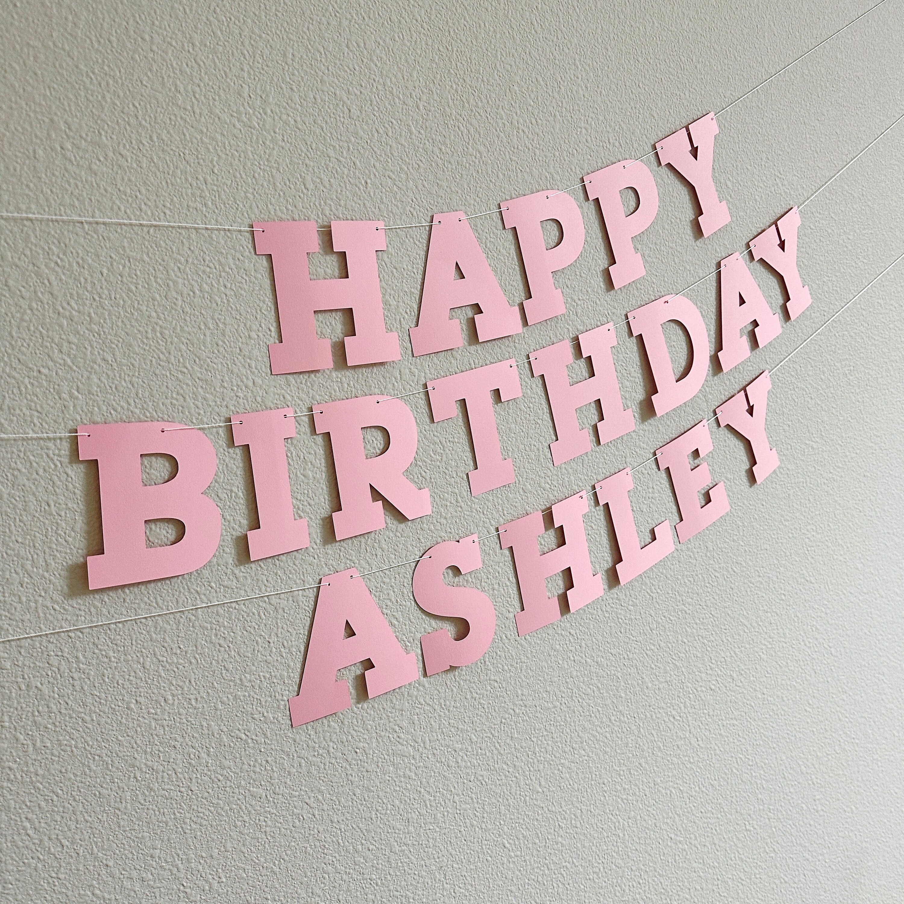 Light Pink Happy Birthday Banner, Light Pink Birthday Banner, Bold Serif Font, Light Pink Customize Banner, Light Pink Birthday Decor