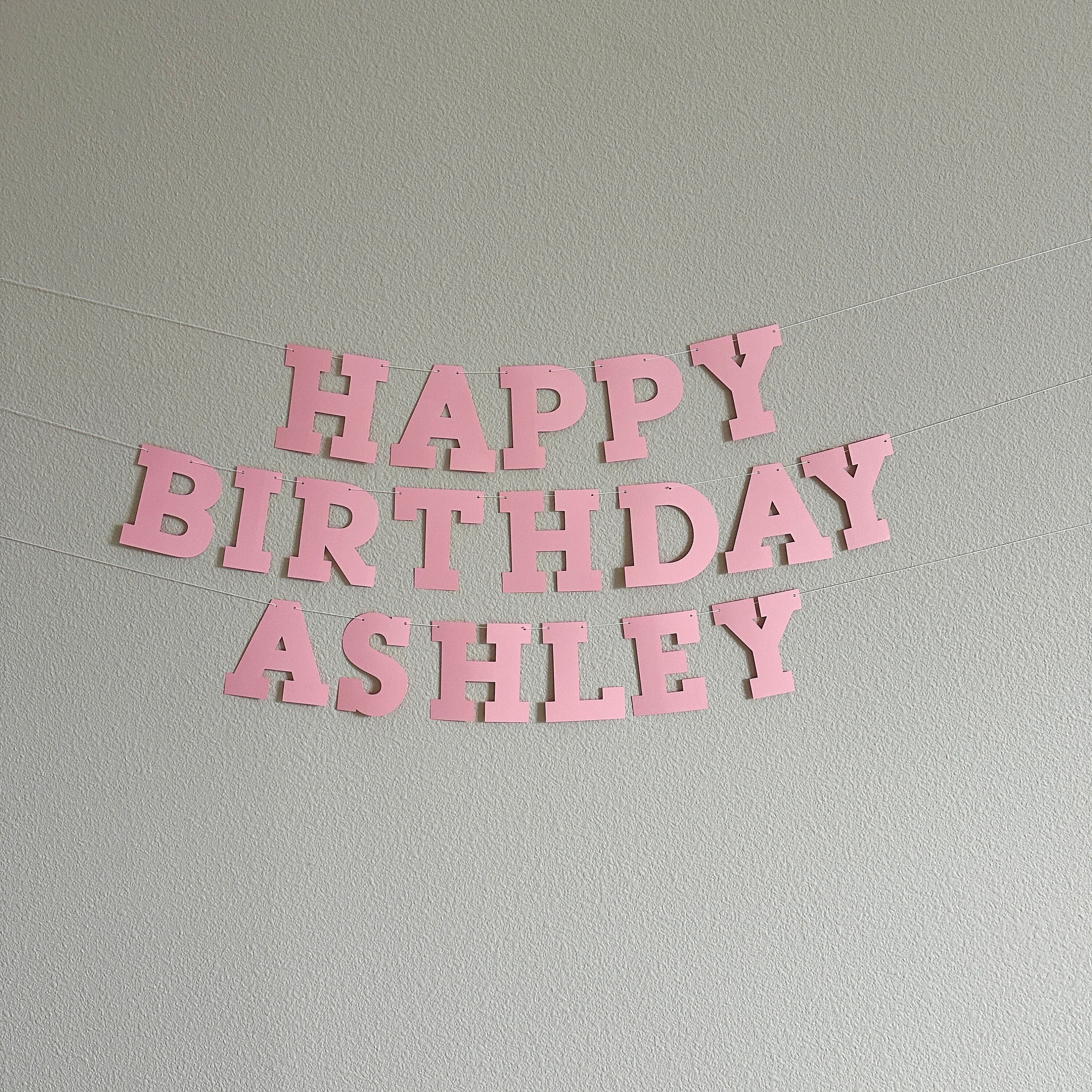 Light Pink Happy Birthday Banner, Light Pink Birthday Banner, Bold Serif Font, Light Pink Customize Banner, Light Pink Birthday Decor