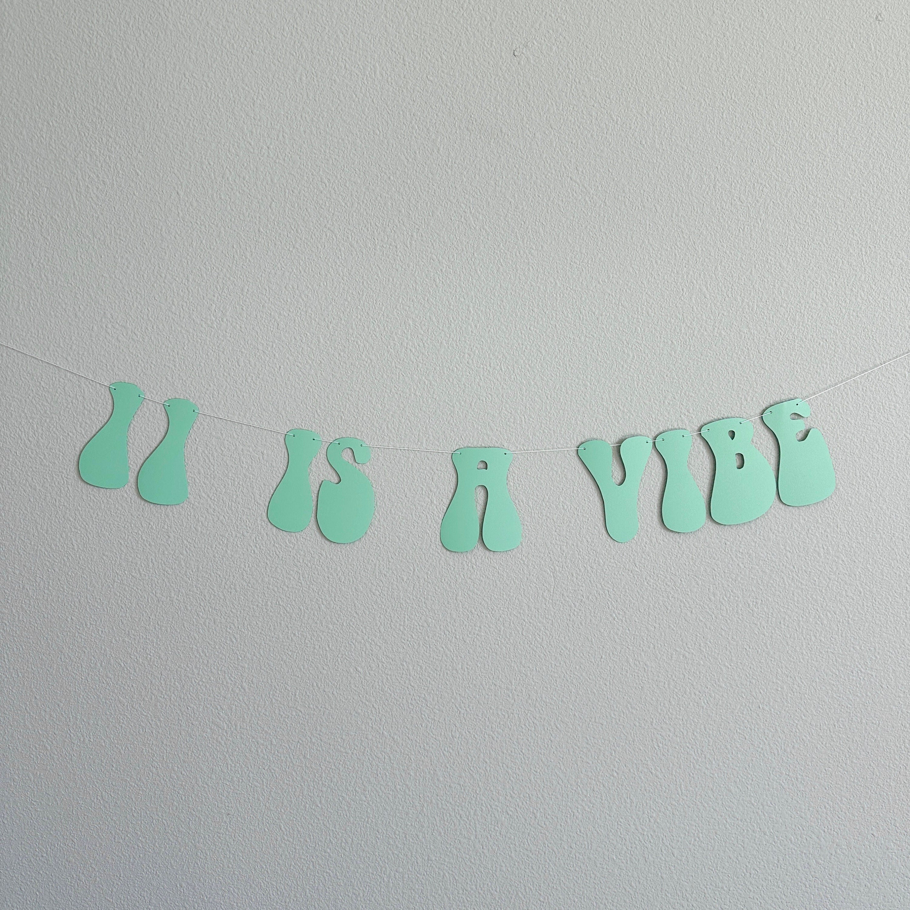 Age Is A Vibe, 11 Is A Vibe, Vibe Birthday, Vibe Party, Vibe Decorations, My Vibe Birthday Banner