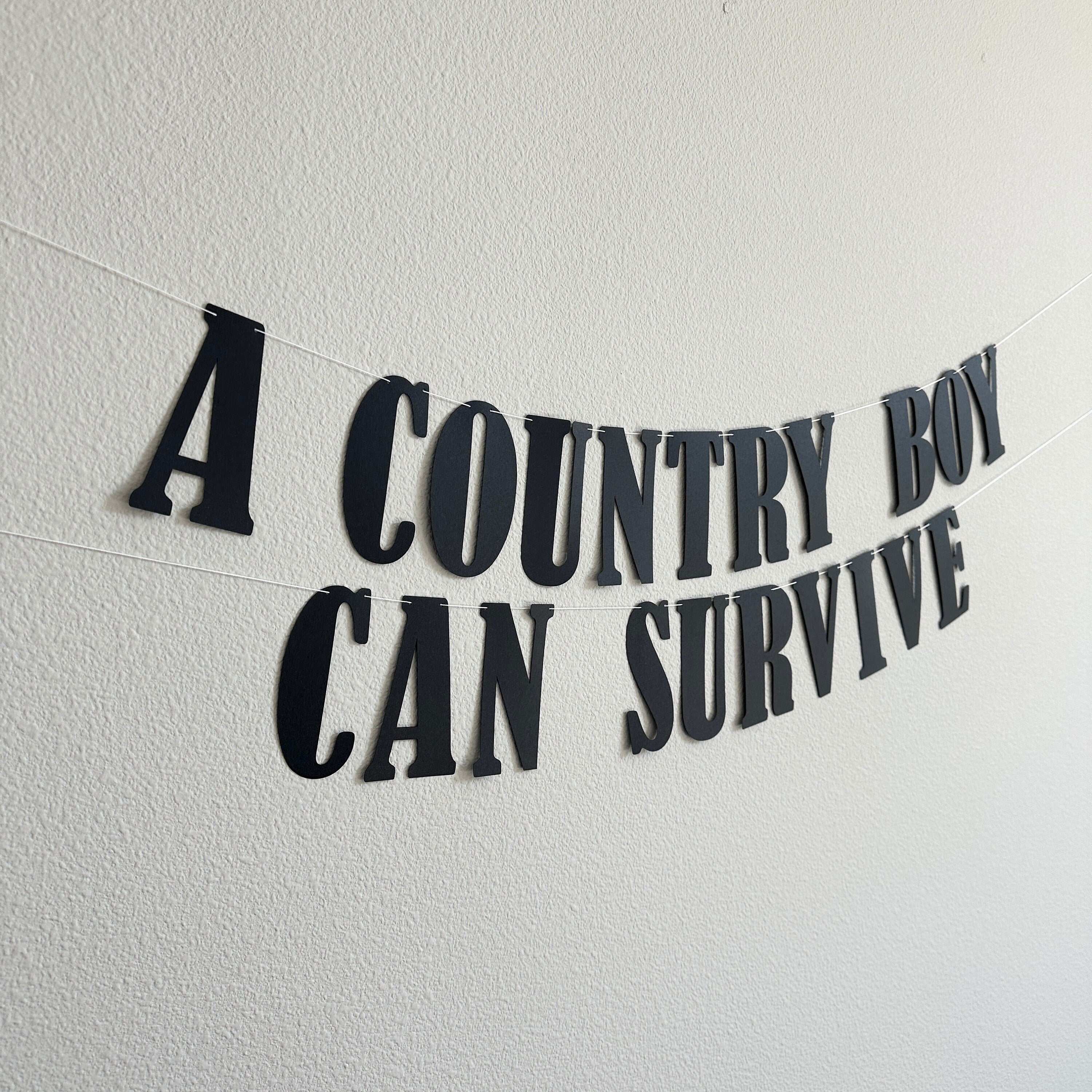 A Country Boy Can Survive, A Country Boy Can Survive Banner, Country Decorations, Country Birthday Decorations