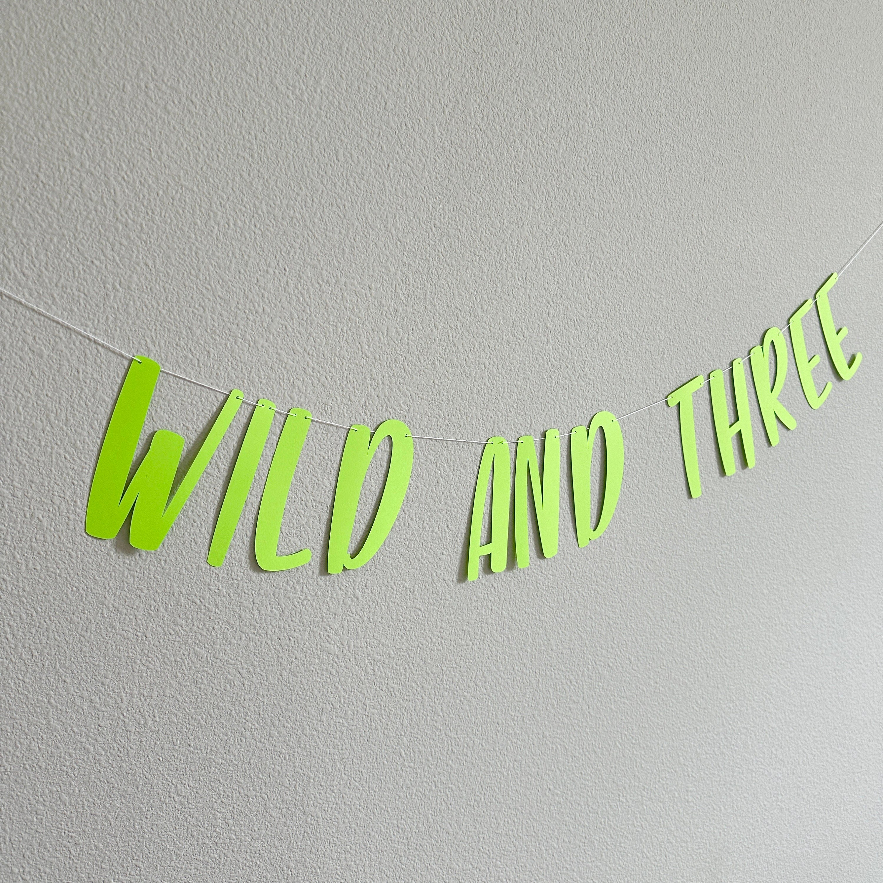Wild and Three, Wild and Three Banner, Wild and Three Sign, Wild and Three Decor, Wild and Three Theme