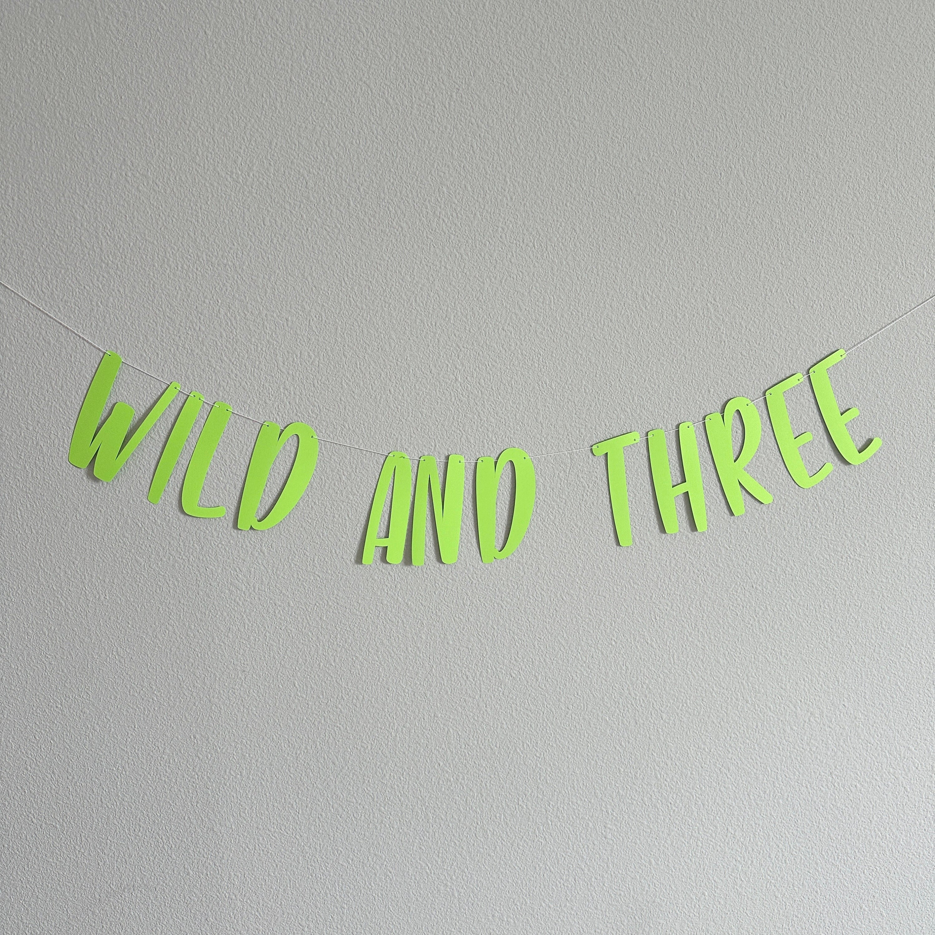 Wild and Three, Wild and Three Banner, Wild and Three Sign, Wild and Three Decor, Wild and Three Theme