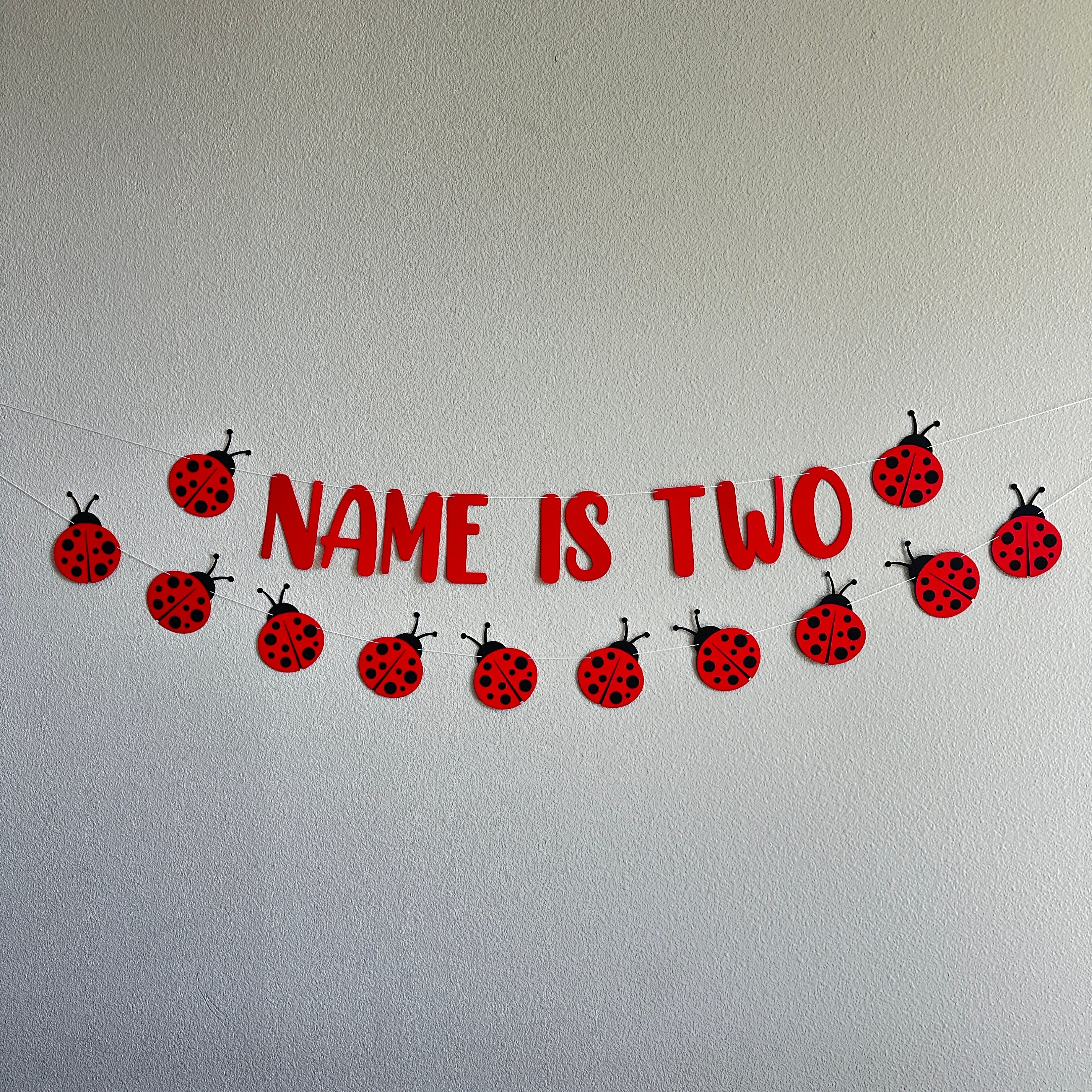Ladybug Birthday Banner, Ladybug Decorations, Name Is Age, Name Is Two Banner, 2nd Birthday Decoration Ideas