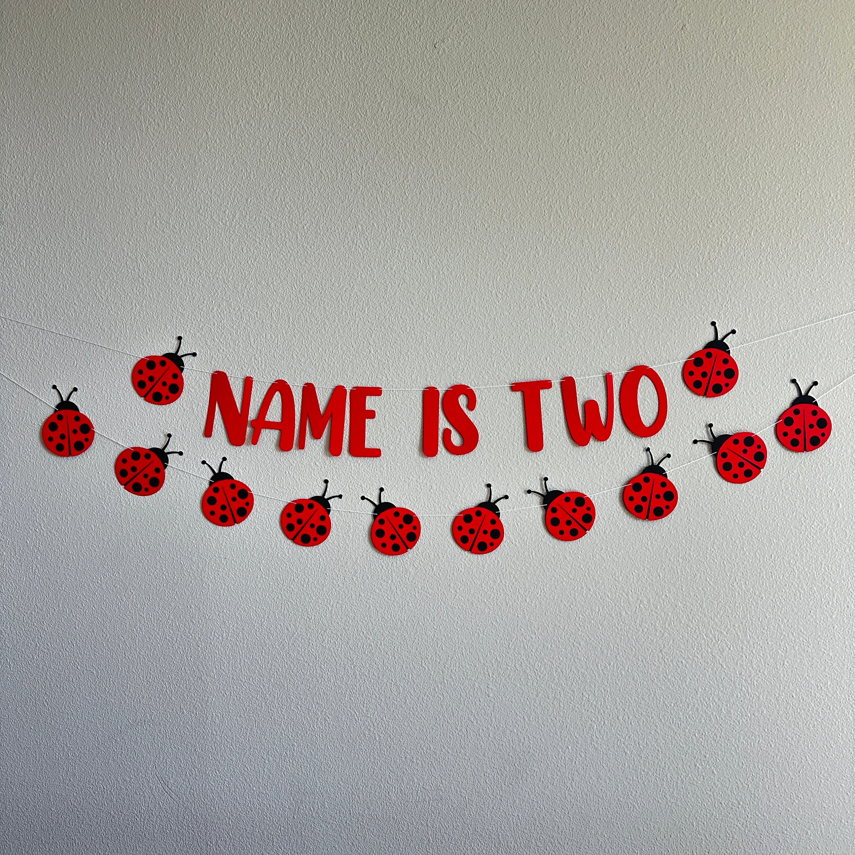 Ladybug Birthday Banner, Ladybug Decorations, Name Is Age, Name Is Two Banner, 2nd Birthday Decoration Ideas