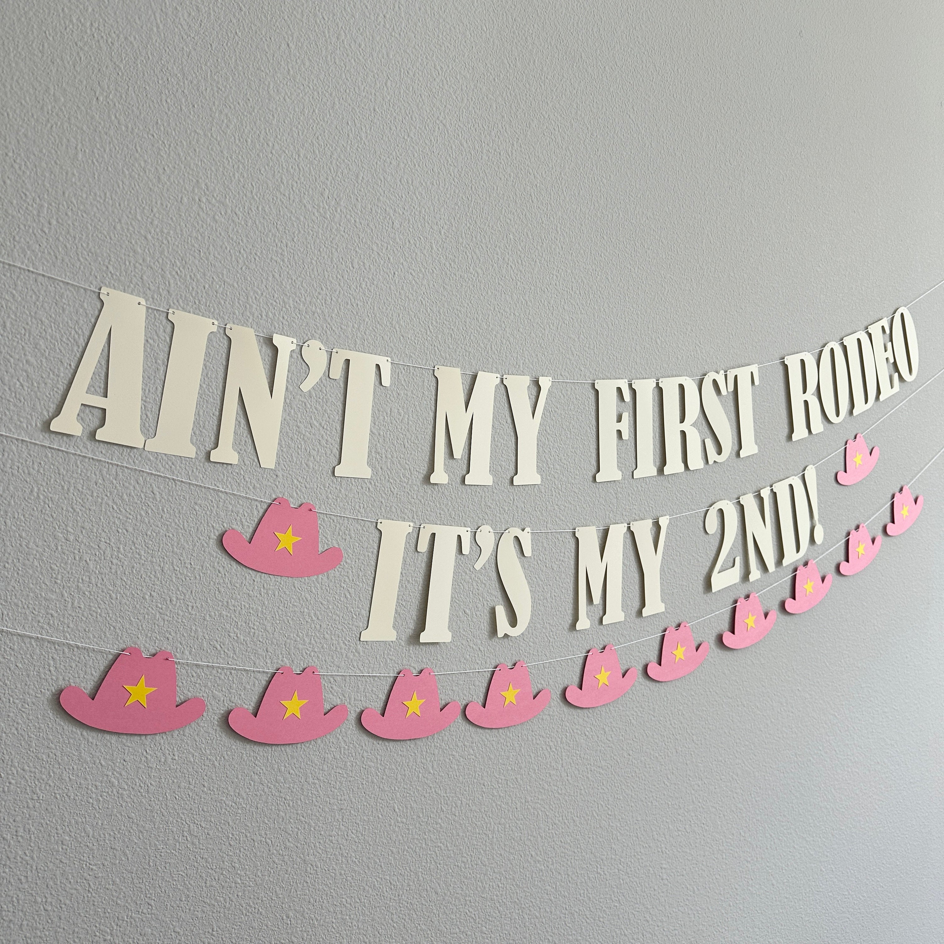 Ain&#39;t My First Rodeo It&#39;s my 2nd, 2nd Birthday Ideas, 2nd Birthday Decorations, Second Birthday Ideas, Second Birthday Decorations