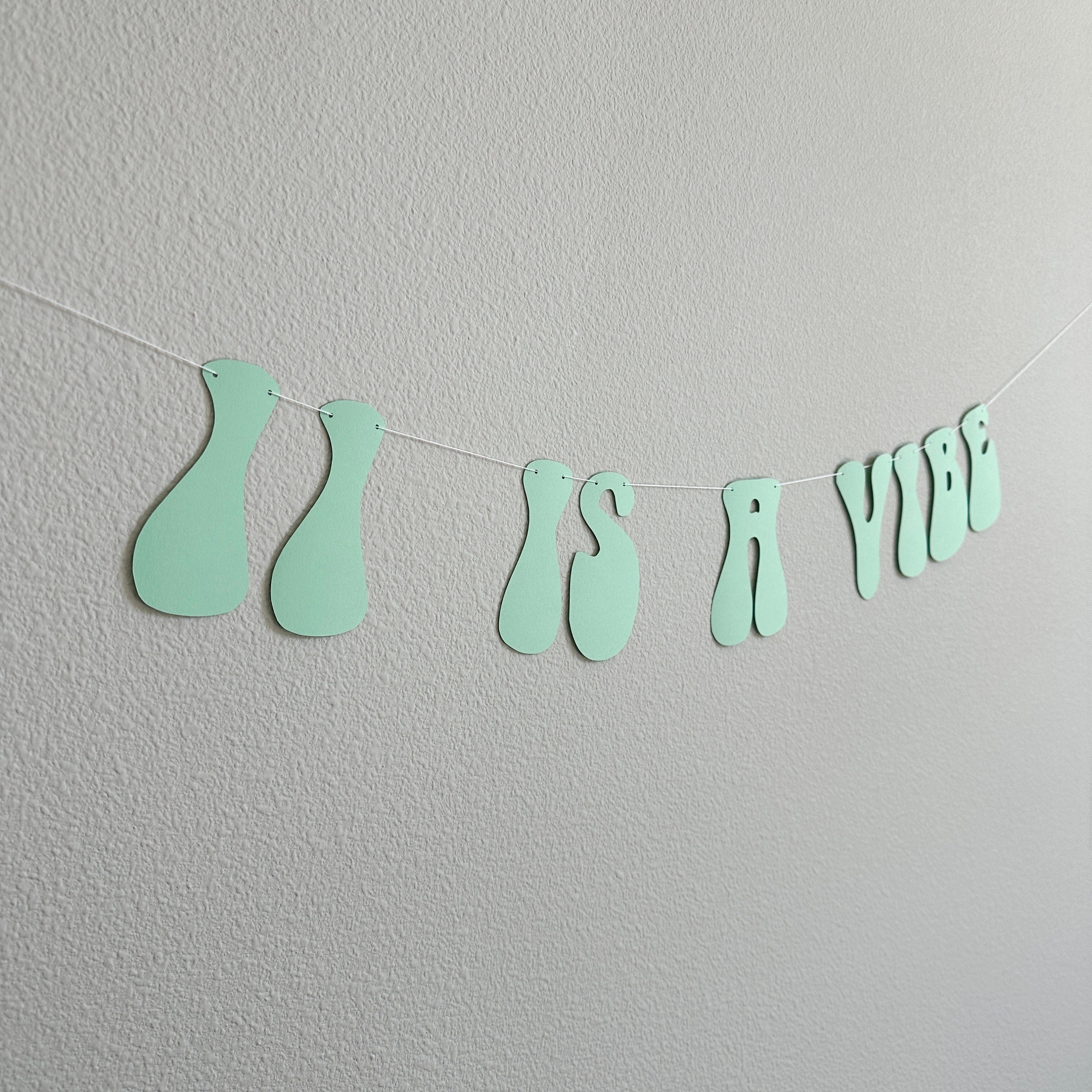 Age Is A Vibe, 11 Is A Vibe, Vibe Birthday, Vibe Party, Vibe Decorations, My Vibe Birthday Banner