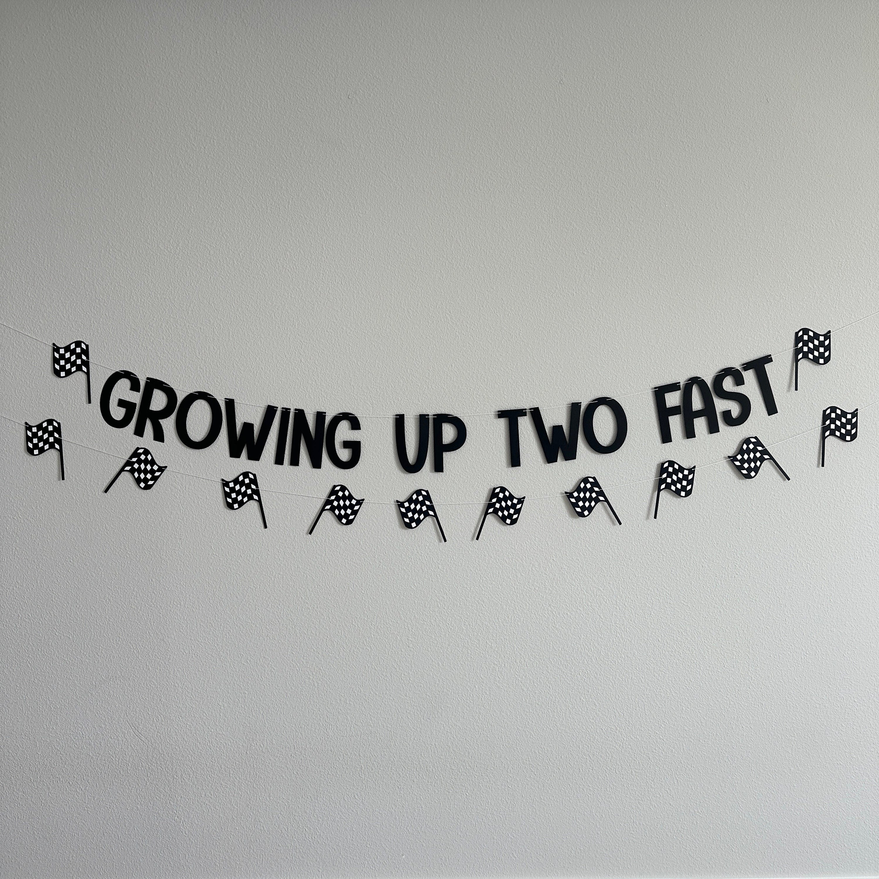 Growing Up Two Fast, Growing Up Two Fast Banner, Racing Decorations, Race Car Birthday Party, Racing Birthday Party, Custom Racing Banner