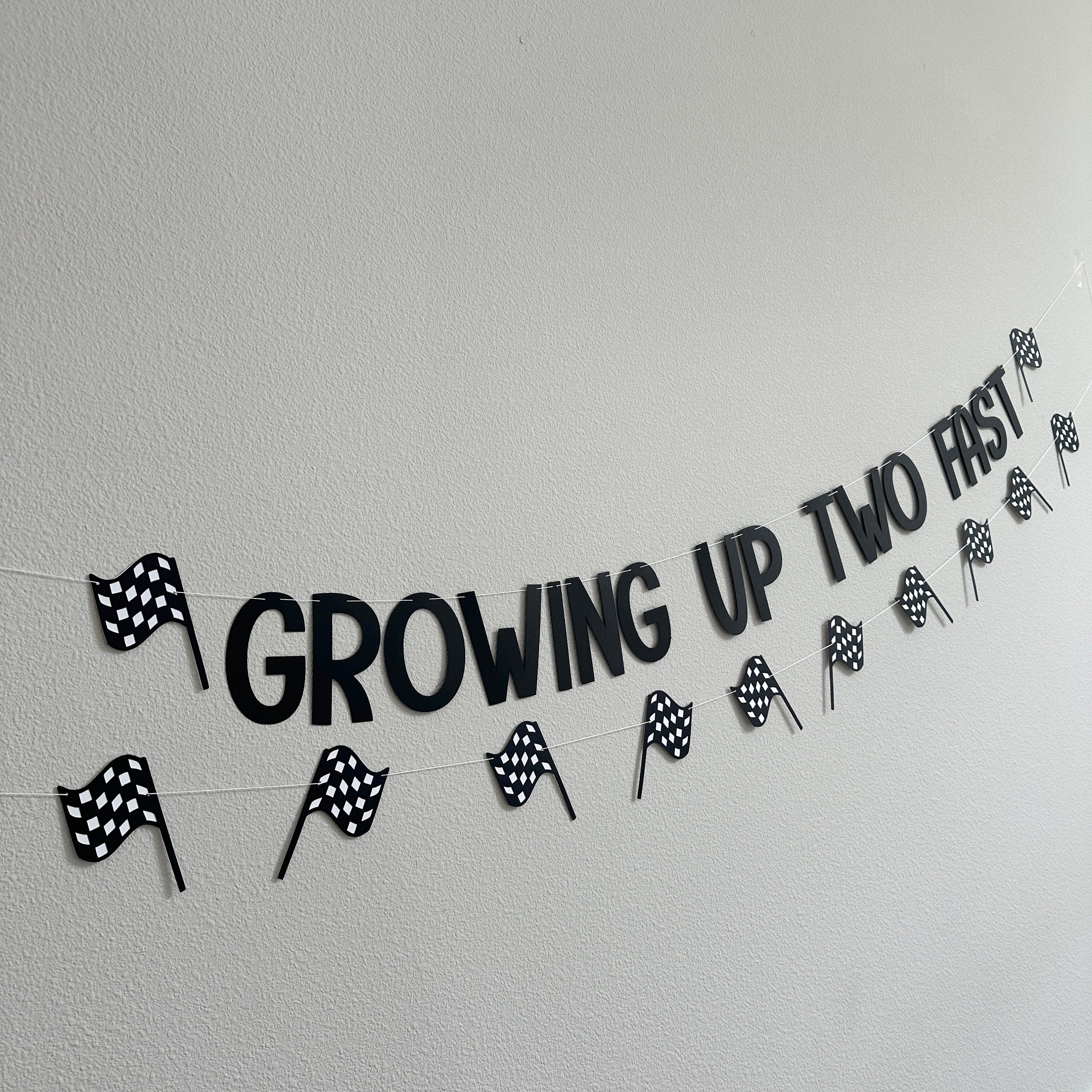 Growing Up Two Fast, Growing Up Two Fast Banner, Racing Decorations, Race Car Birthday Party, Racing Birthday Party, Custom Racing Banner